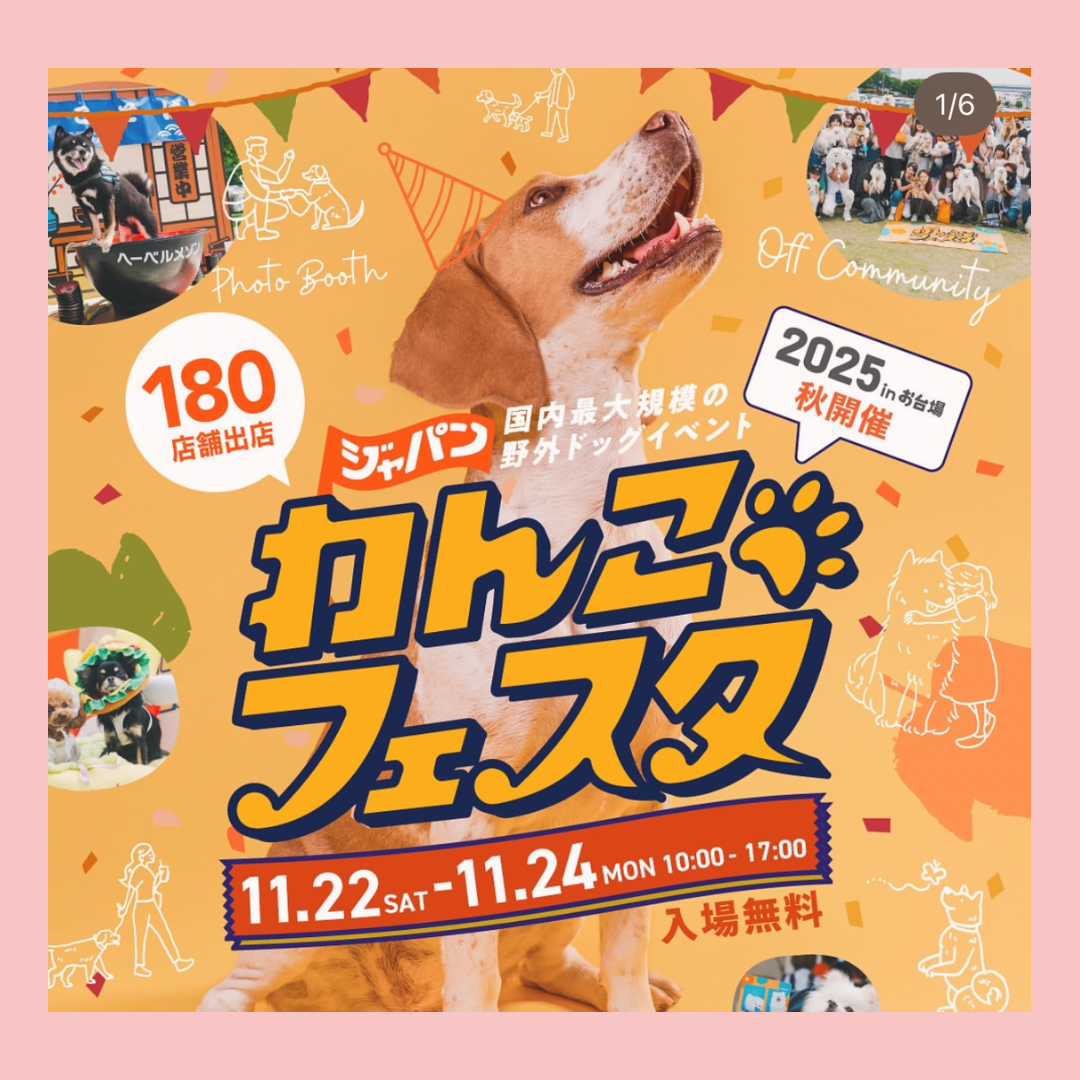 11/22-24 お台場イベント出店