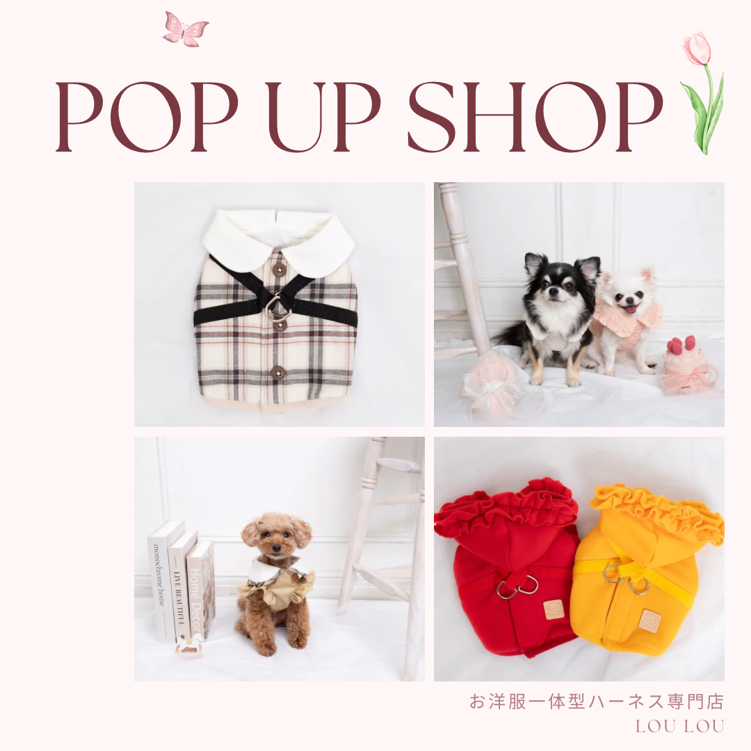 福岡・奈良　POPUP開催中