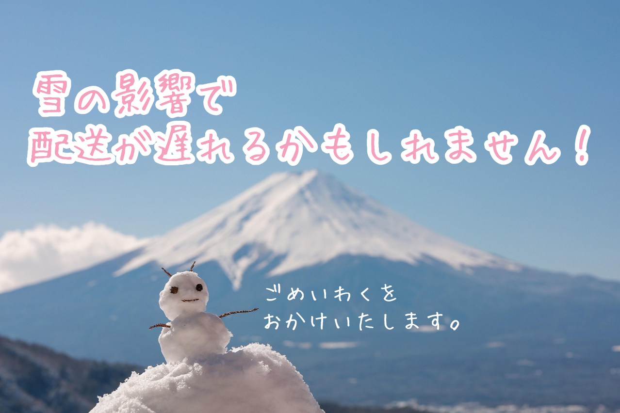 雪の影響により納期遅延の可能性がございます