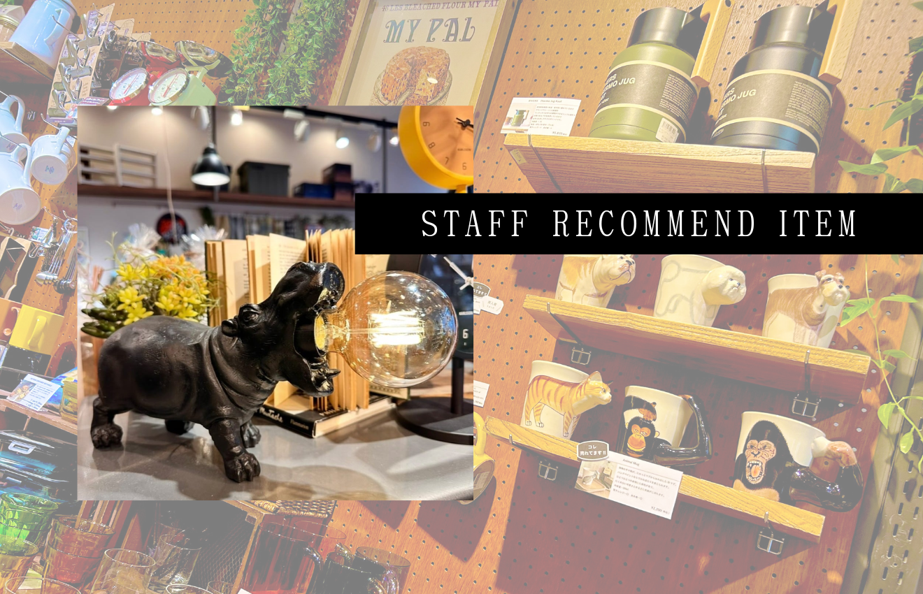 STAFF RECOMMEND ITEM