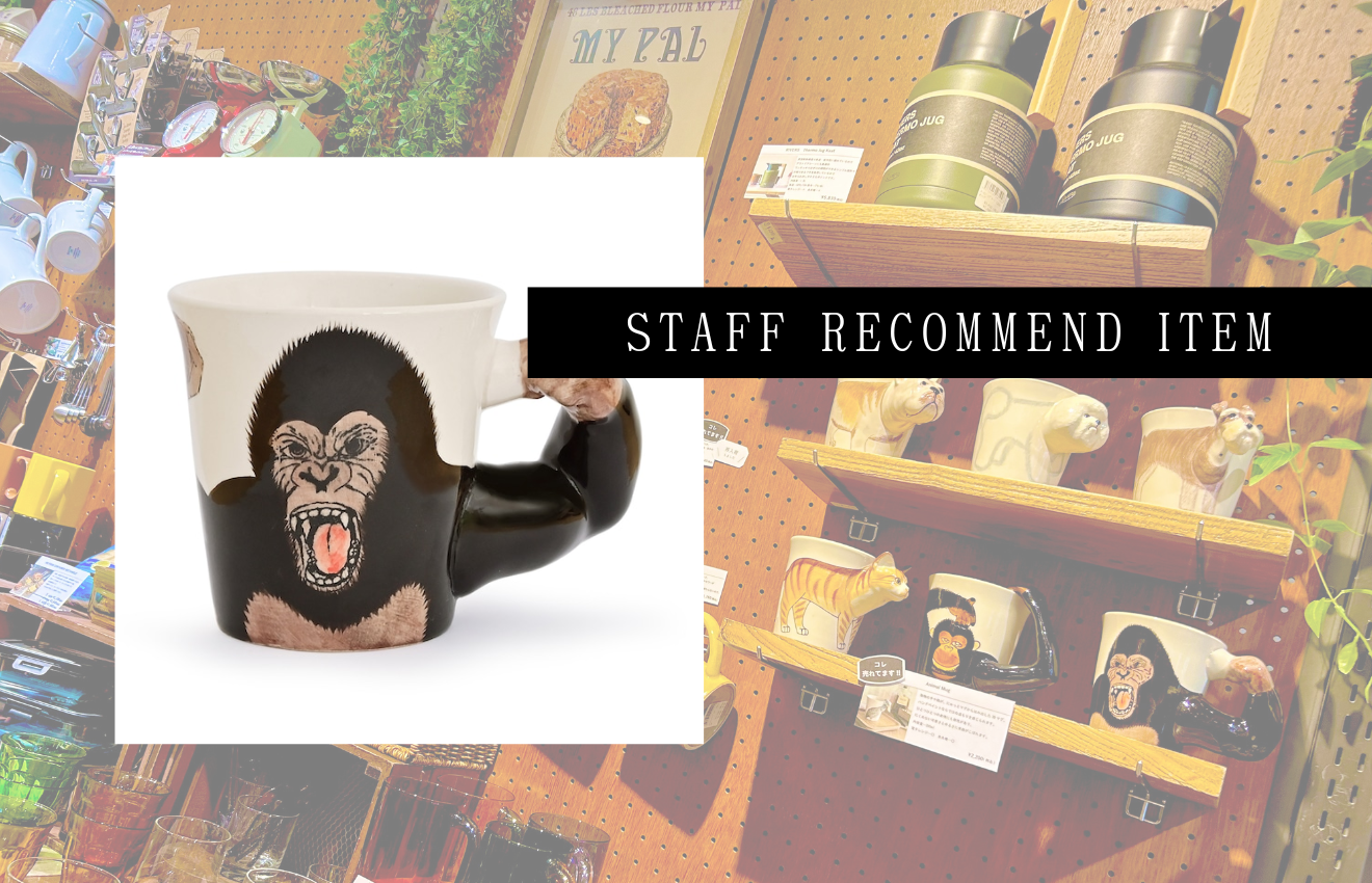 STAFF RECOMMEND ITEM