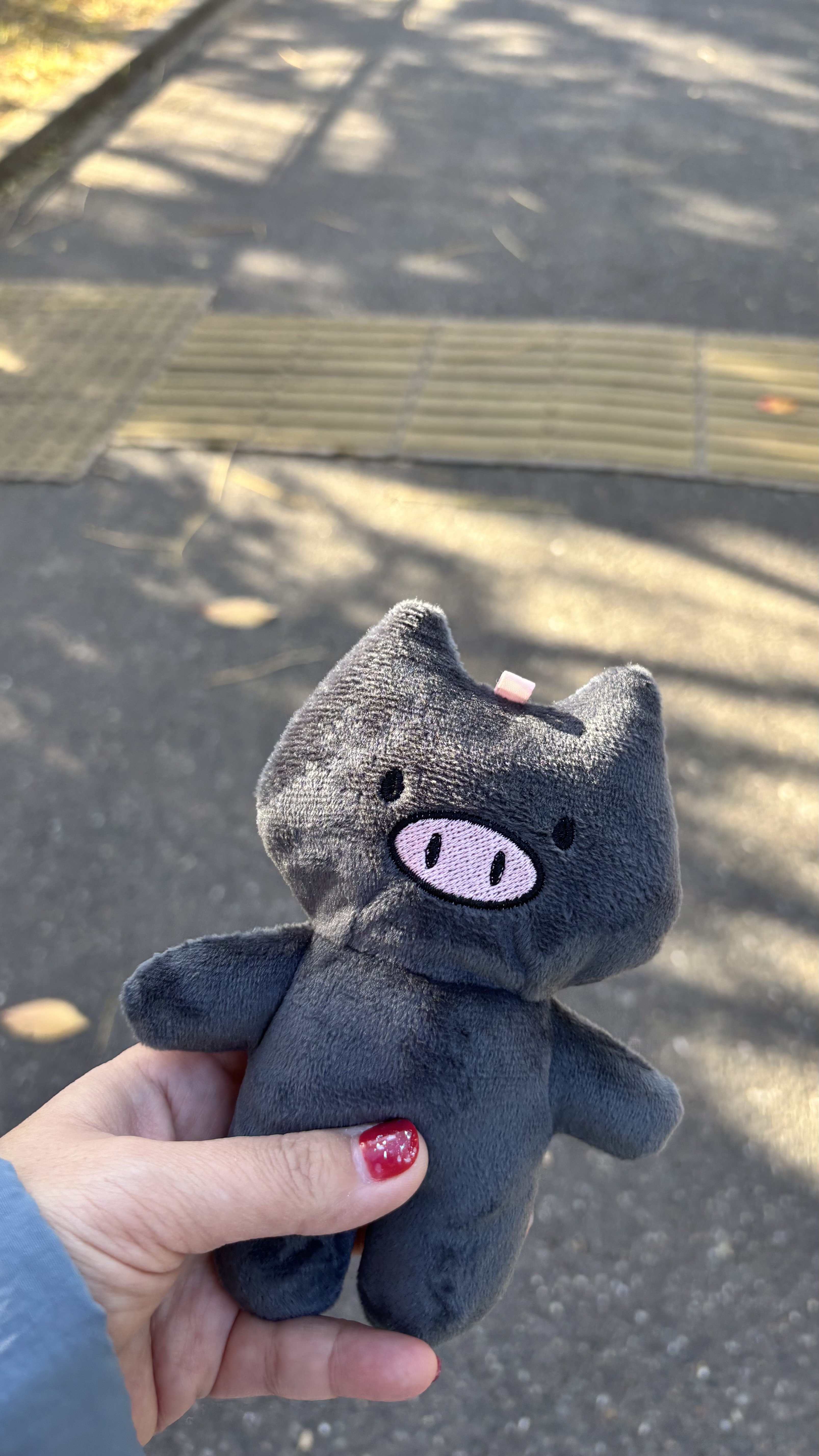 黒ぶたちゃんデビュー✨