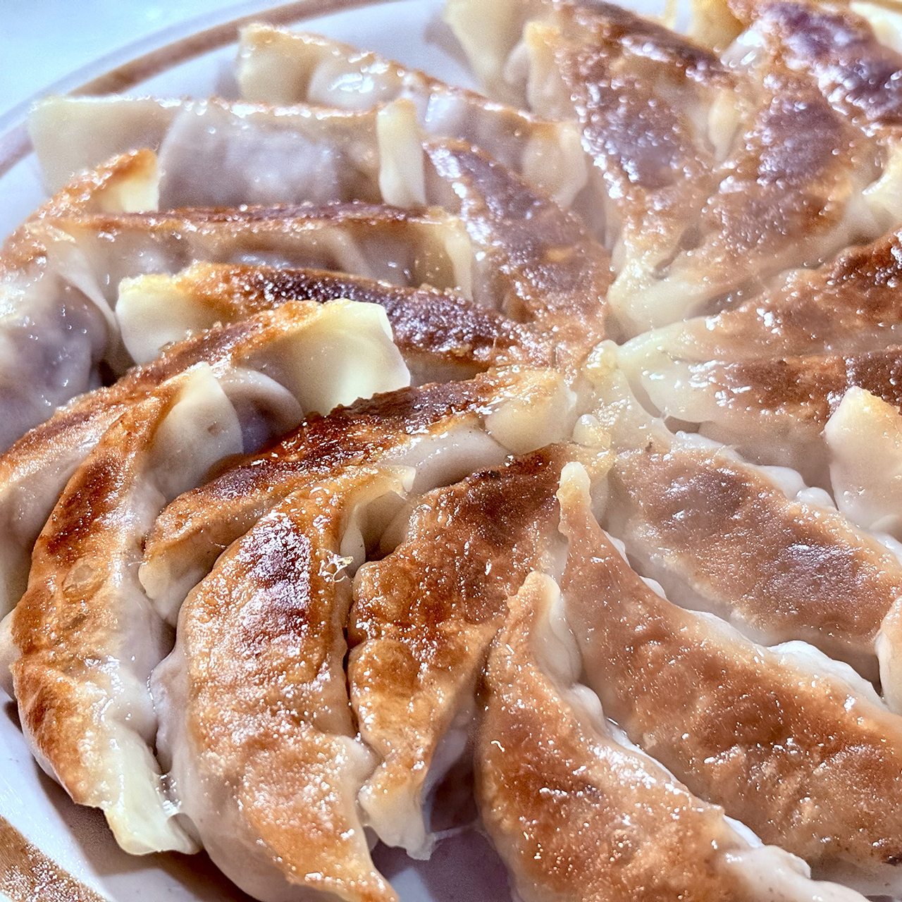 鹿餃子の撮影