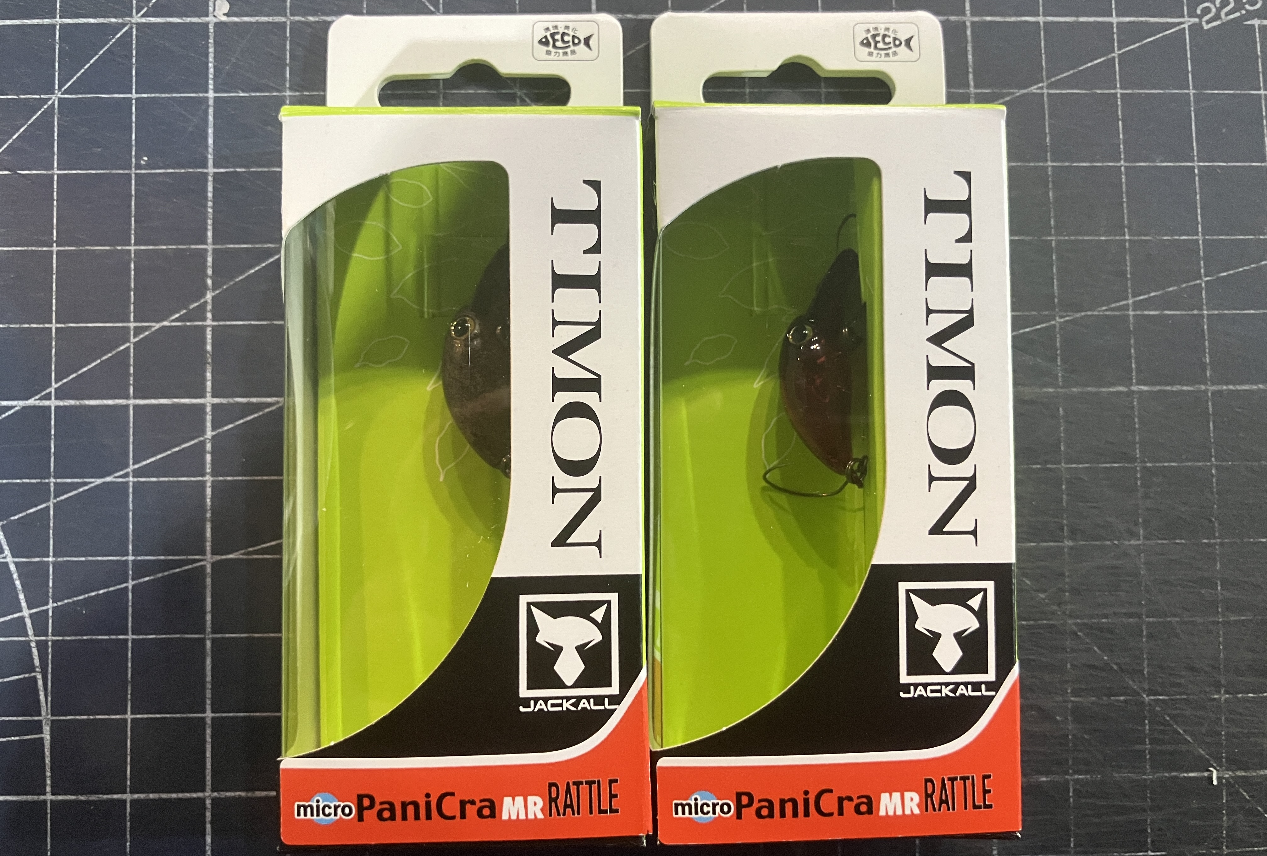 ティモン入荷