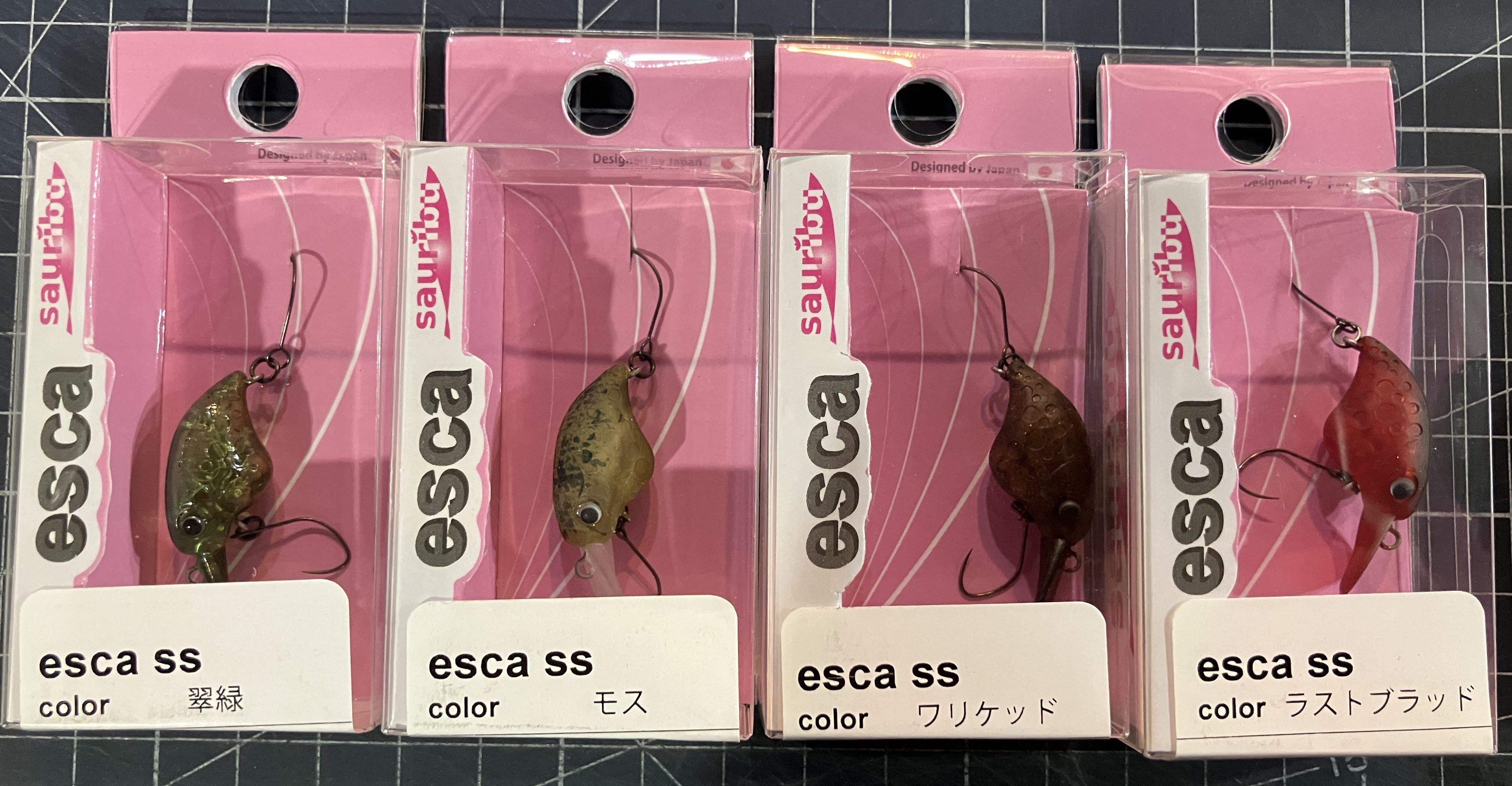 サウリブ入荷