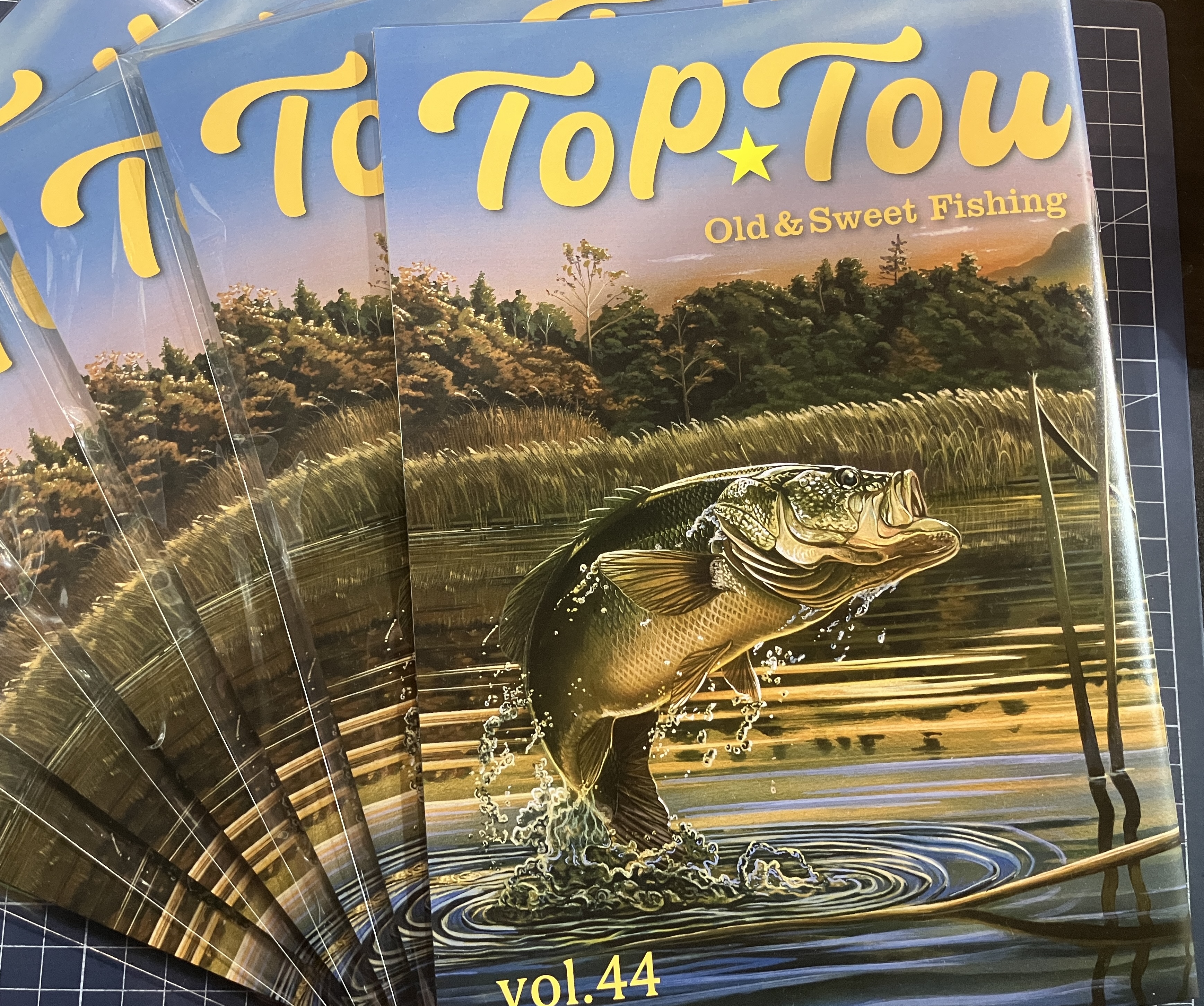 トップトウ入荷