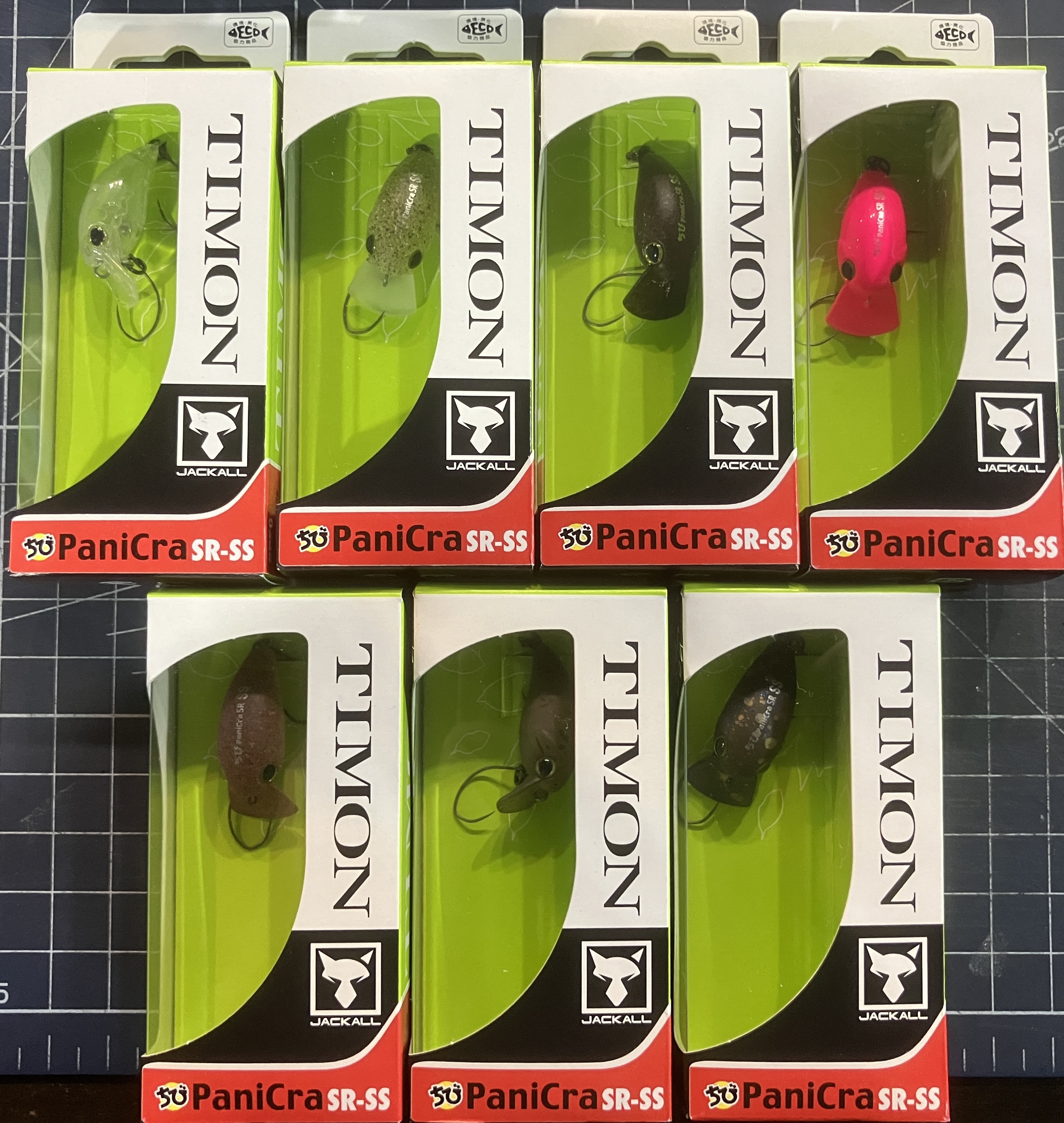 ティモン入荷！