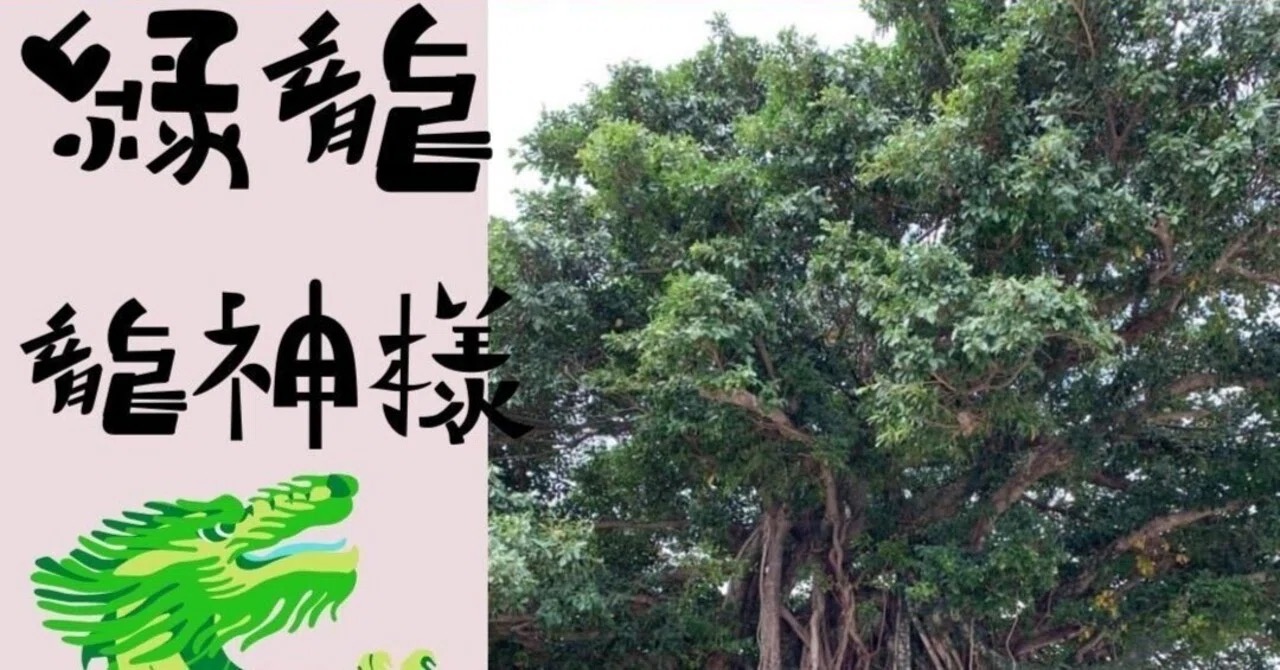 ✨🐉✨緑龍が現れた話✨🐉✨