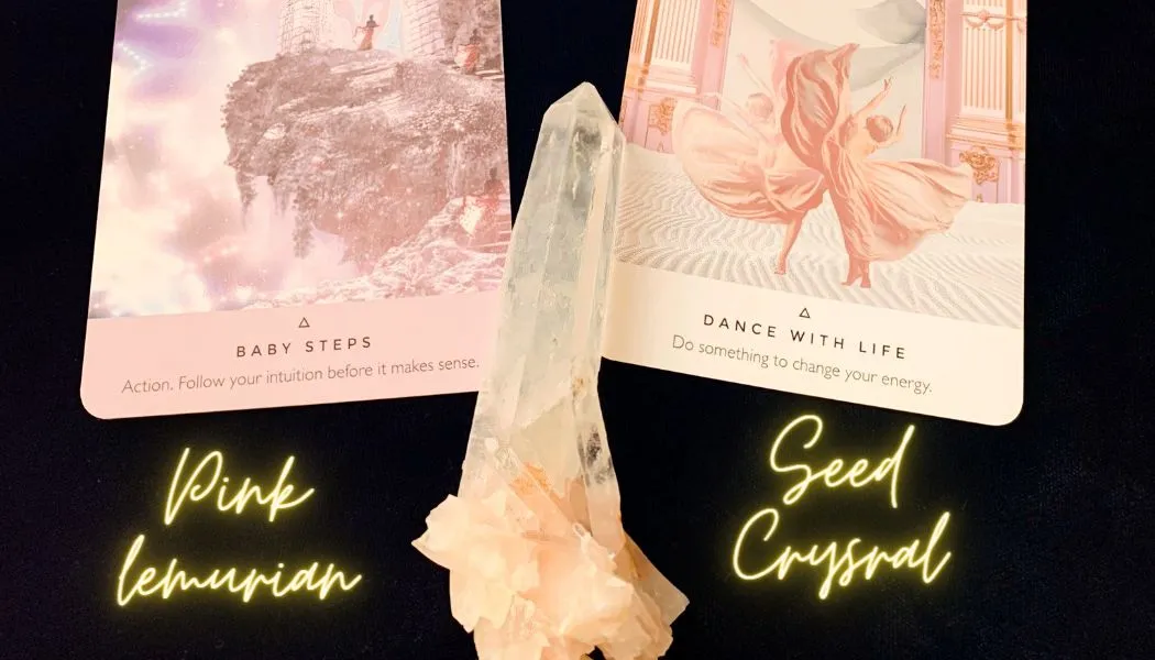 ❝ 踊るように生きて ❞ PINK LEMURIAN