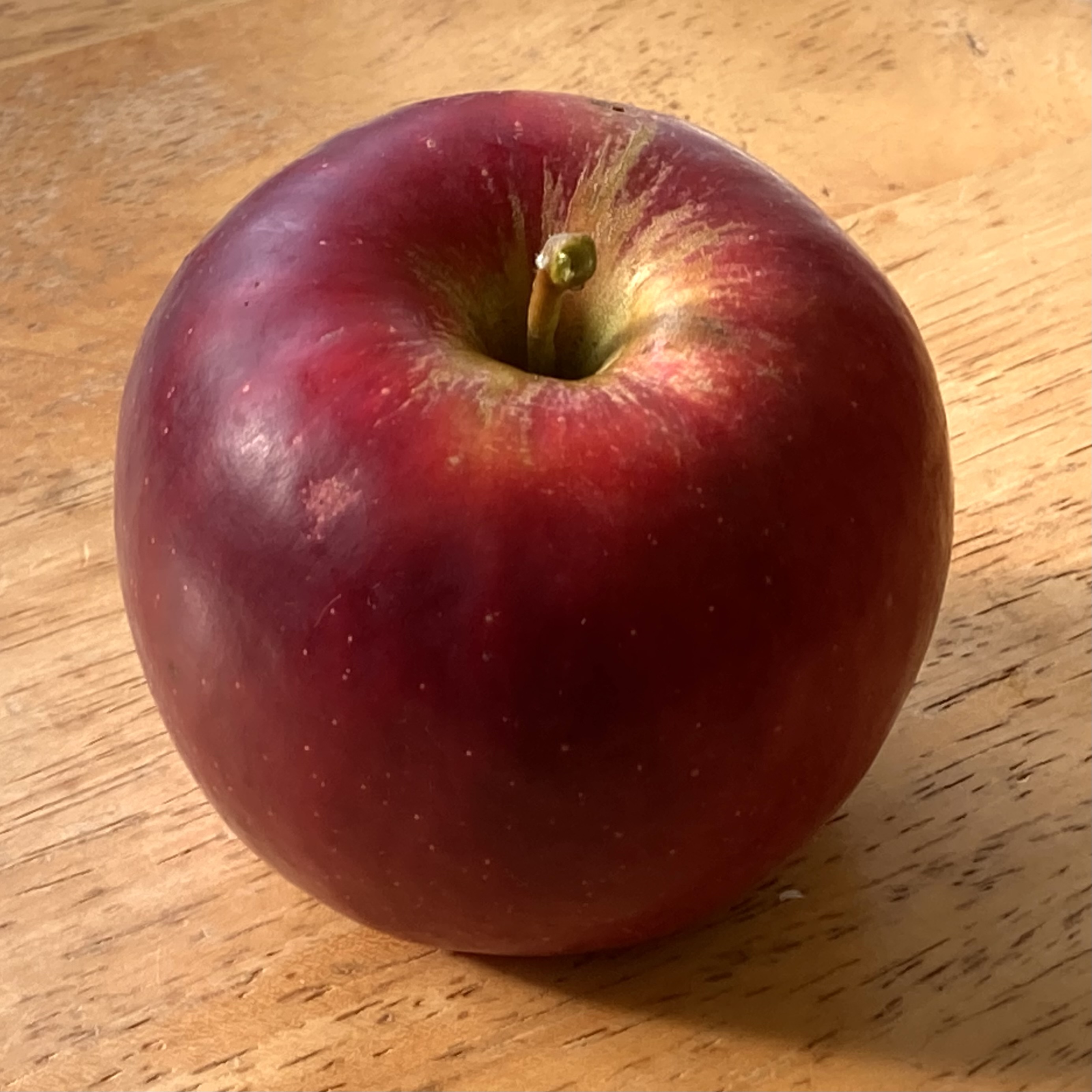 紅玉_古木の恵み