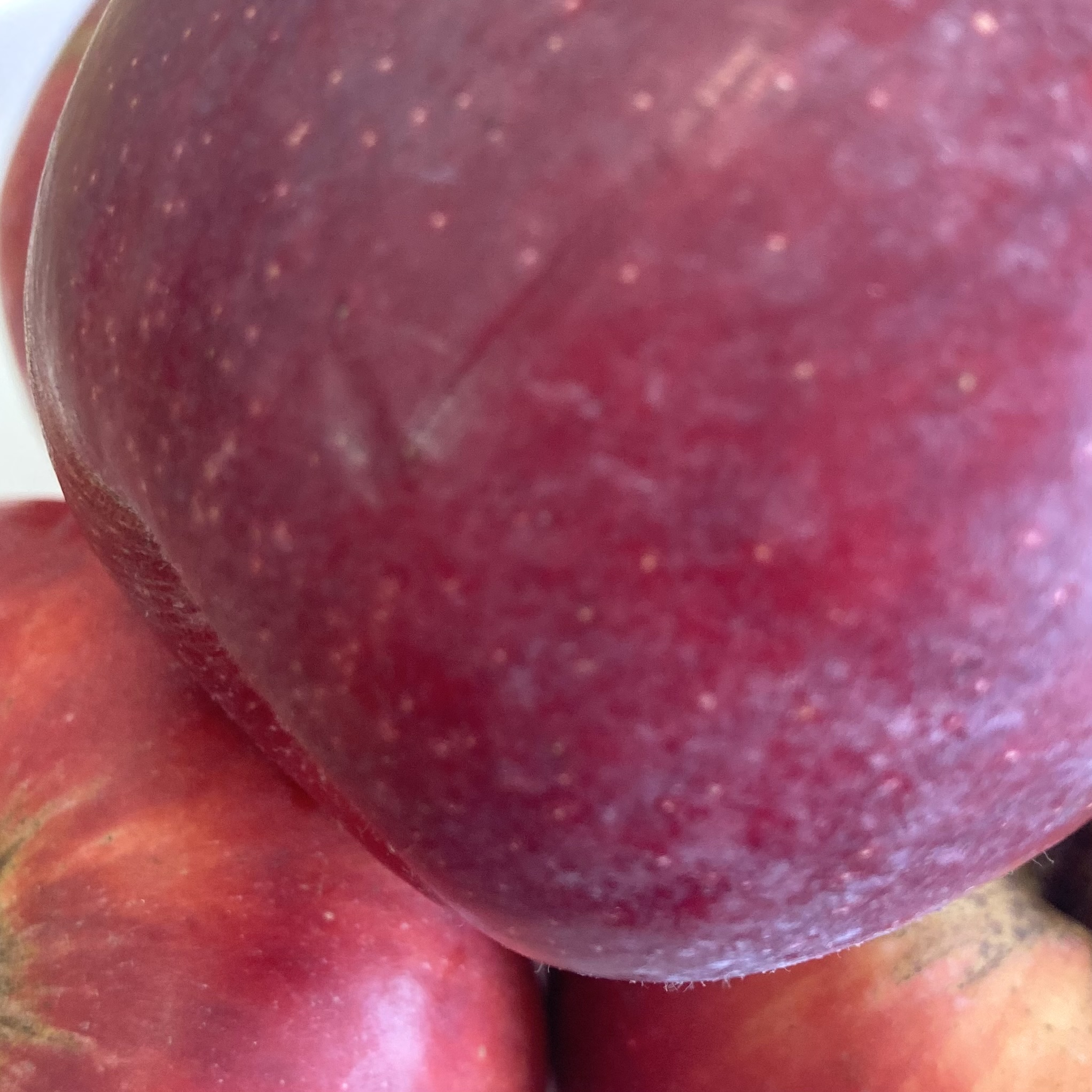 紅玉りんご_ブルーム(果粉)