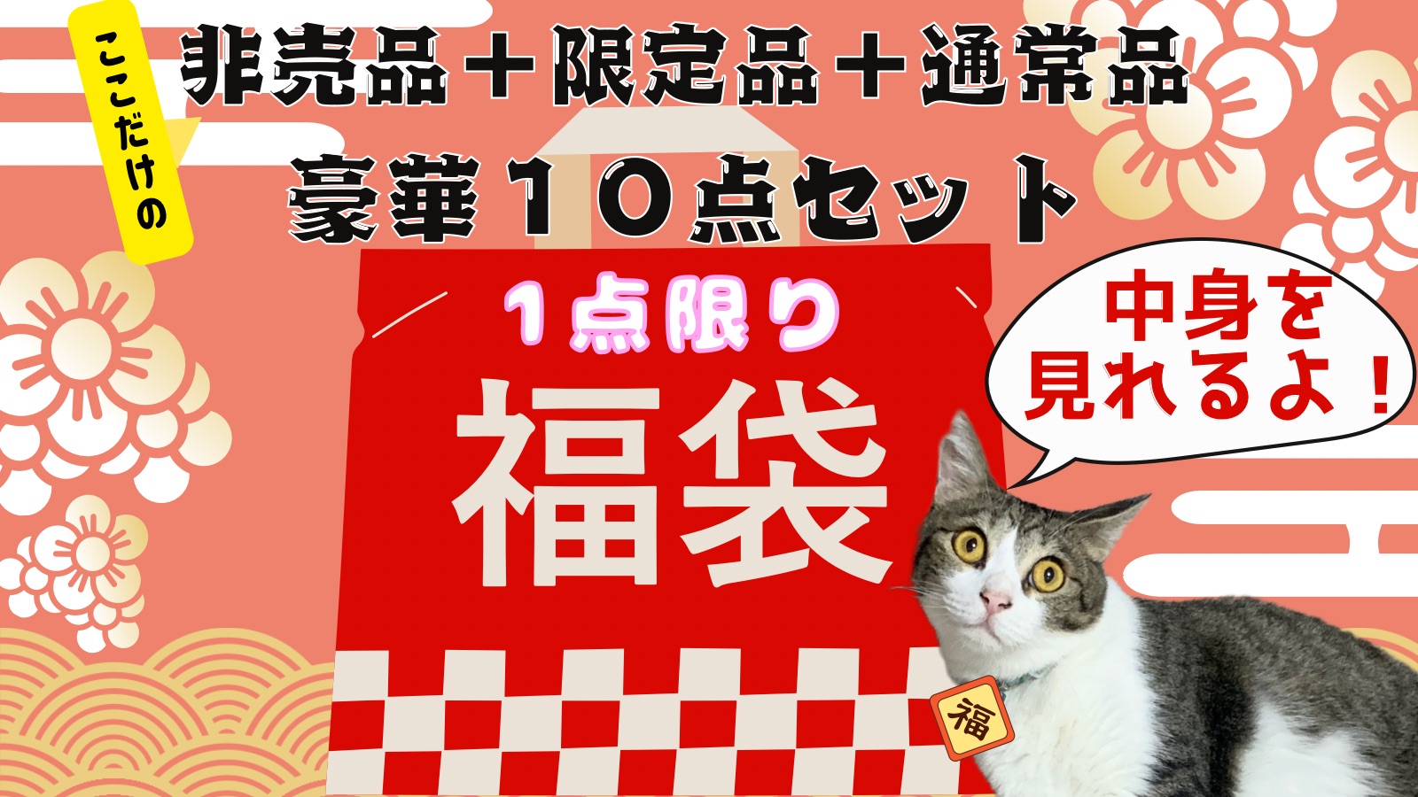 福袋しちゃうぬん！