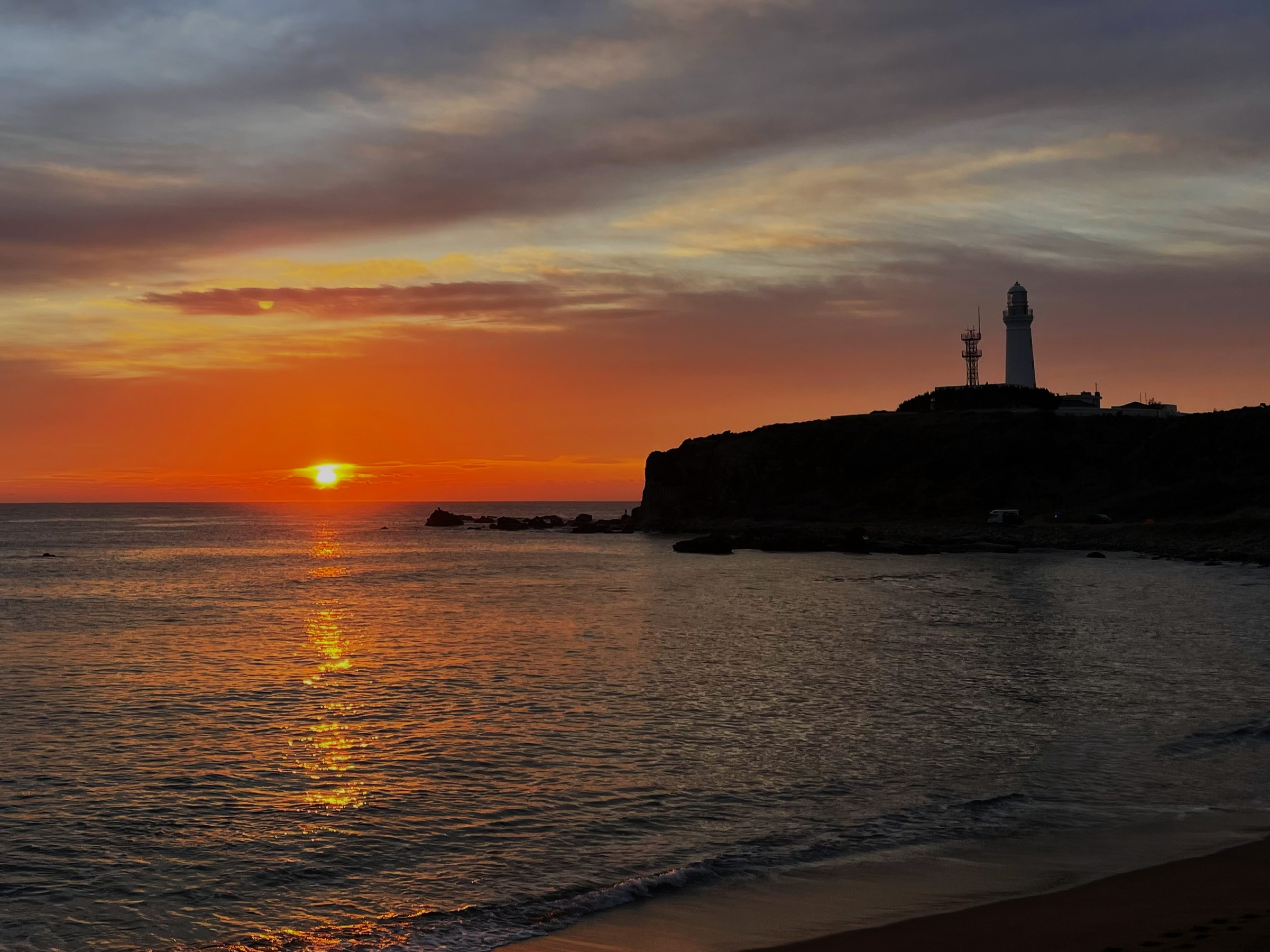 蜂蜜酒専門店BELL-MEADについて