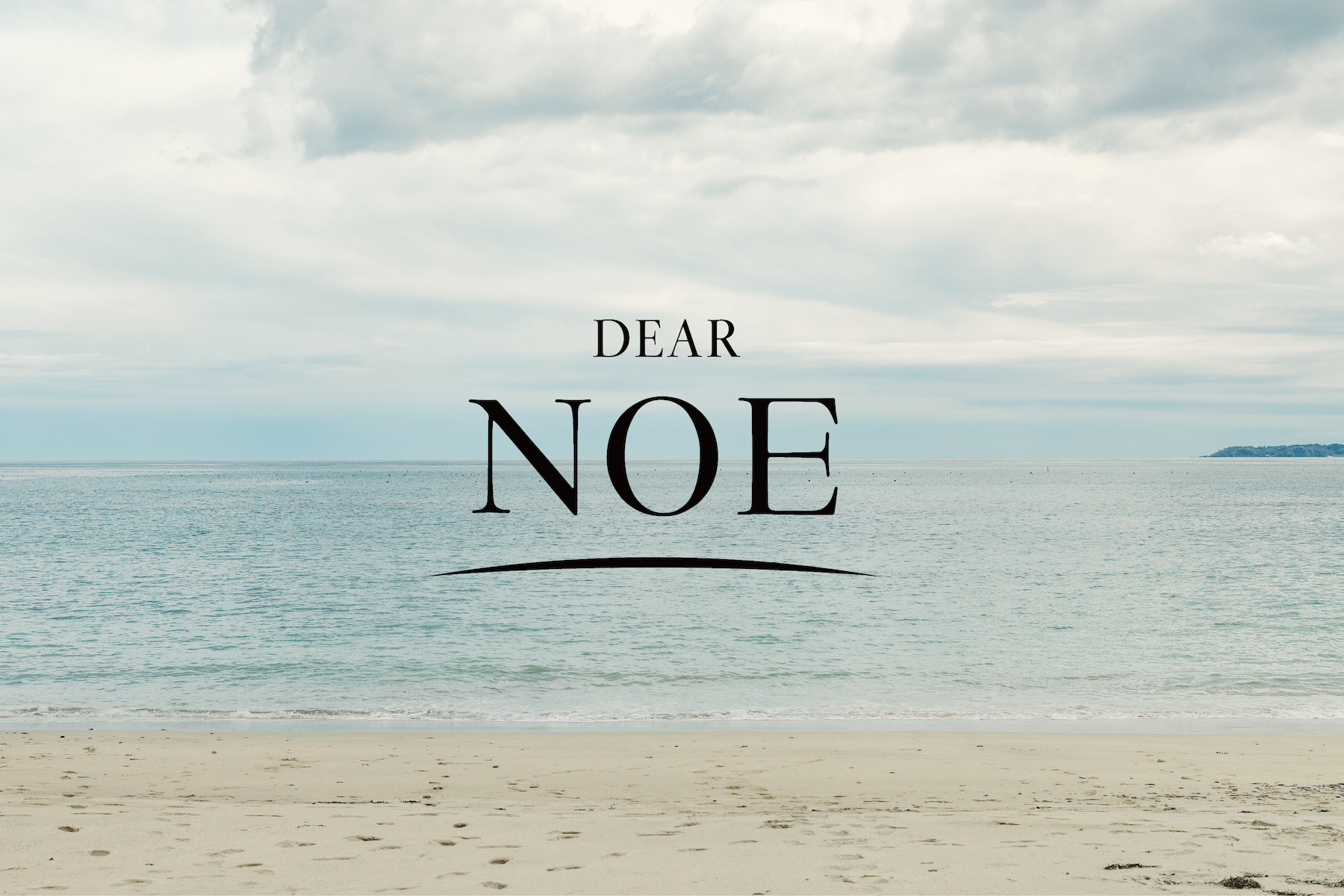 DEAR NOE オンラインショップを公開しました