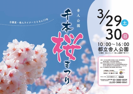 ★舎人公園　千本桜まつり（2025）に出店が決まりました！★