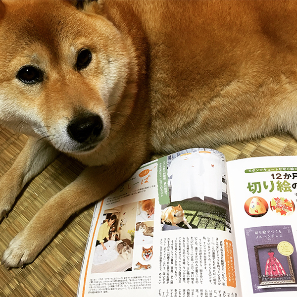 【メディア紹介】柴犬雑誌「Shi-Ba」にTシャツが紹介されました！