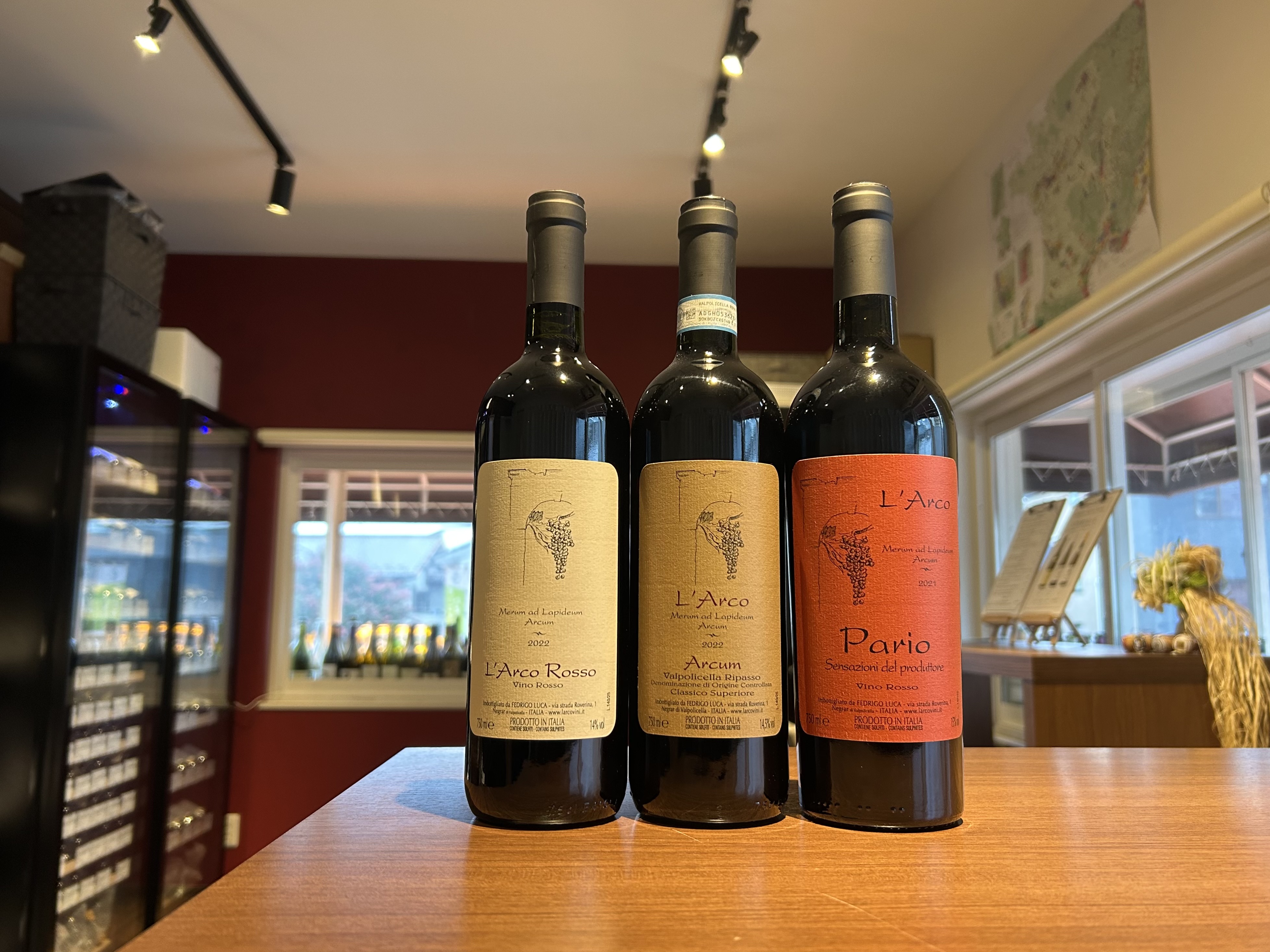 【入荷案内】L’Arco ラルコ
