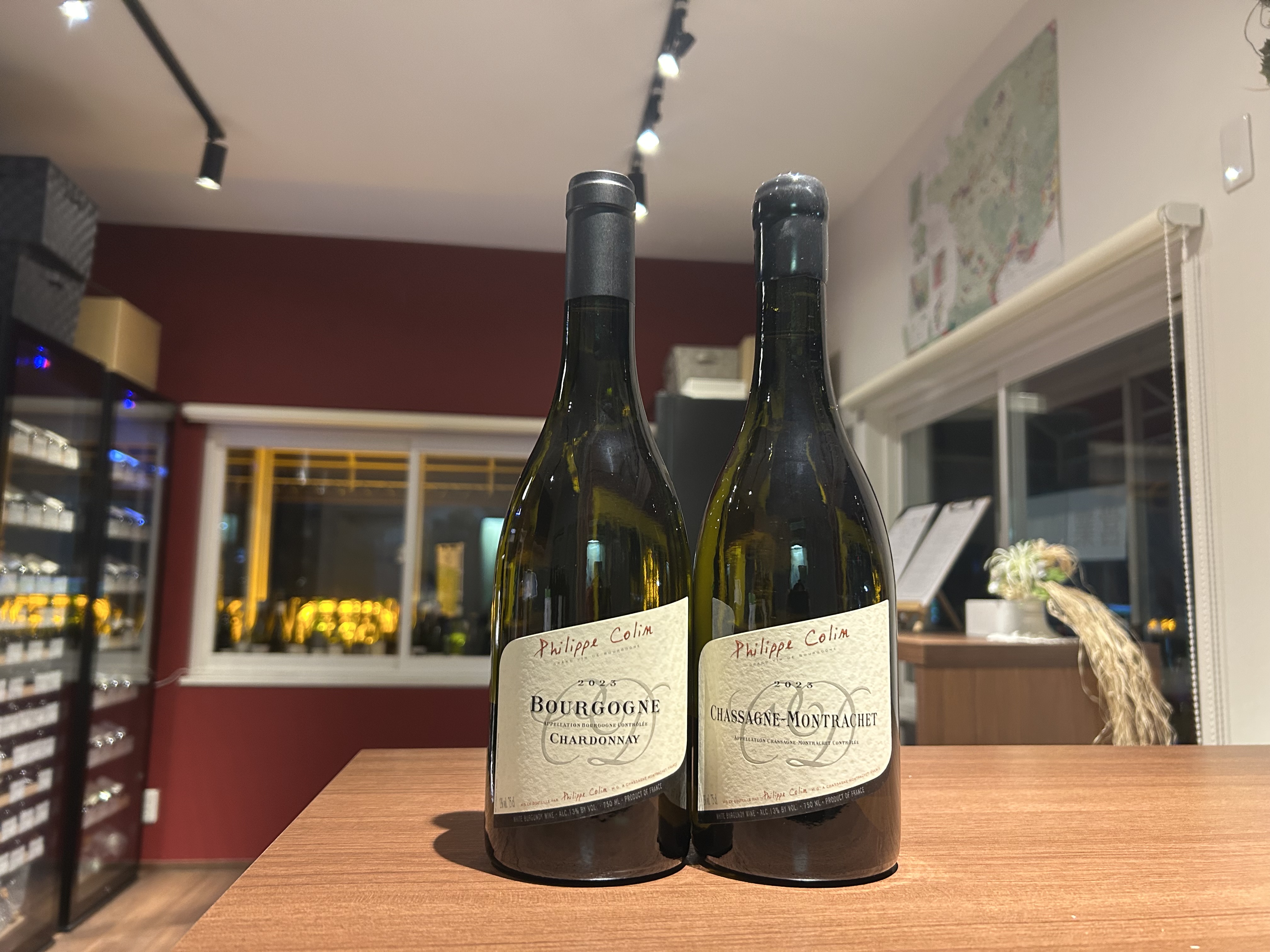 【商品案内】フィリップ・コラン Philippe COLIN