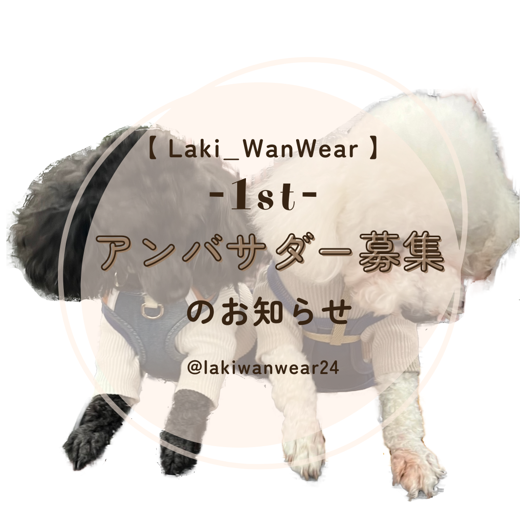 ⚠️ 重大発表 ⚠️