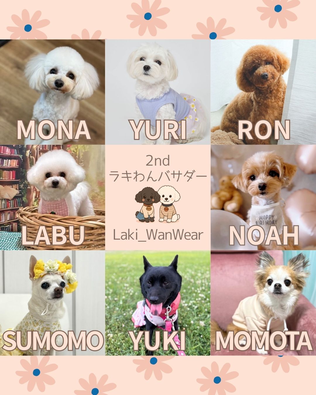 【決定】2ndラキわんバサダー