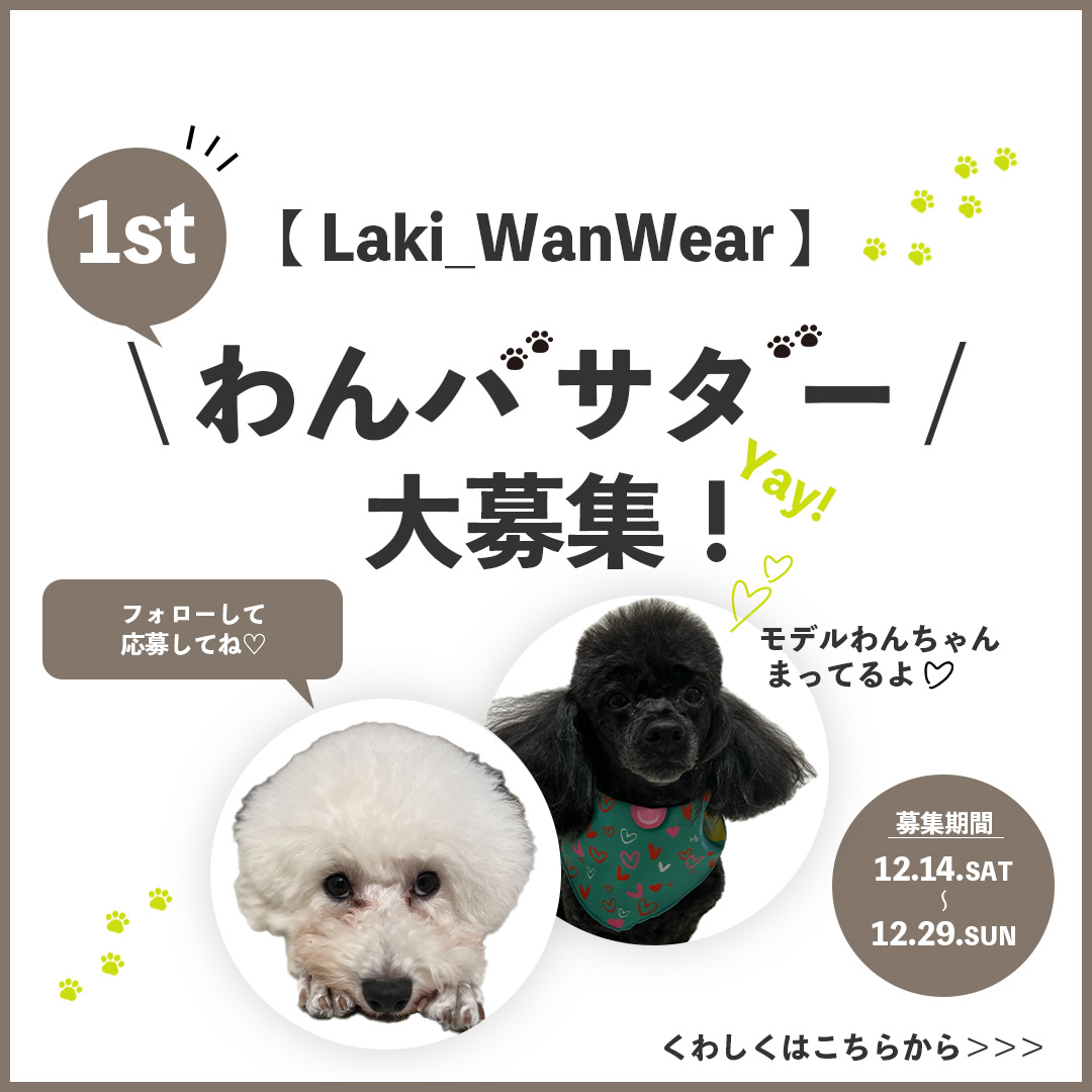 1stわんバサダー募集開始！！
