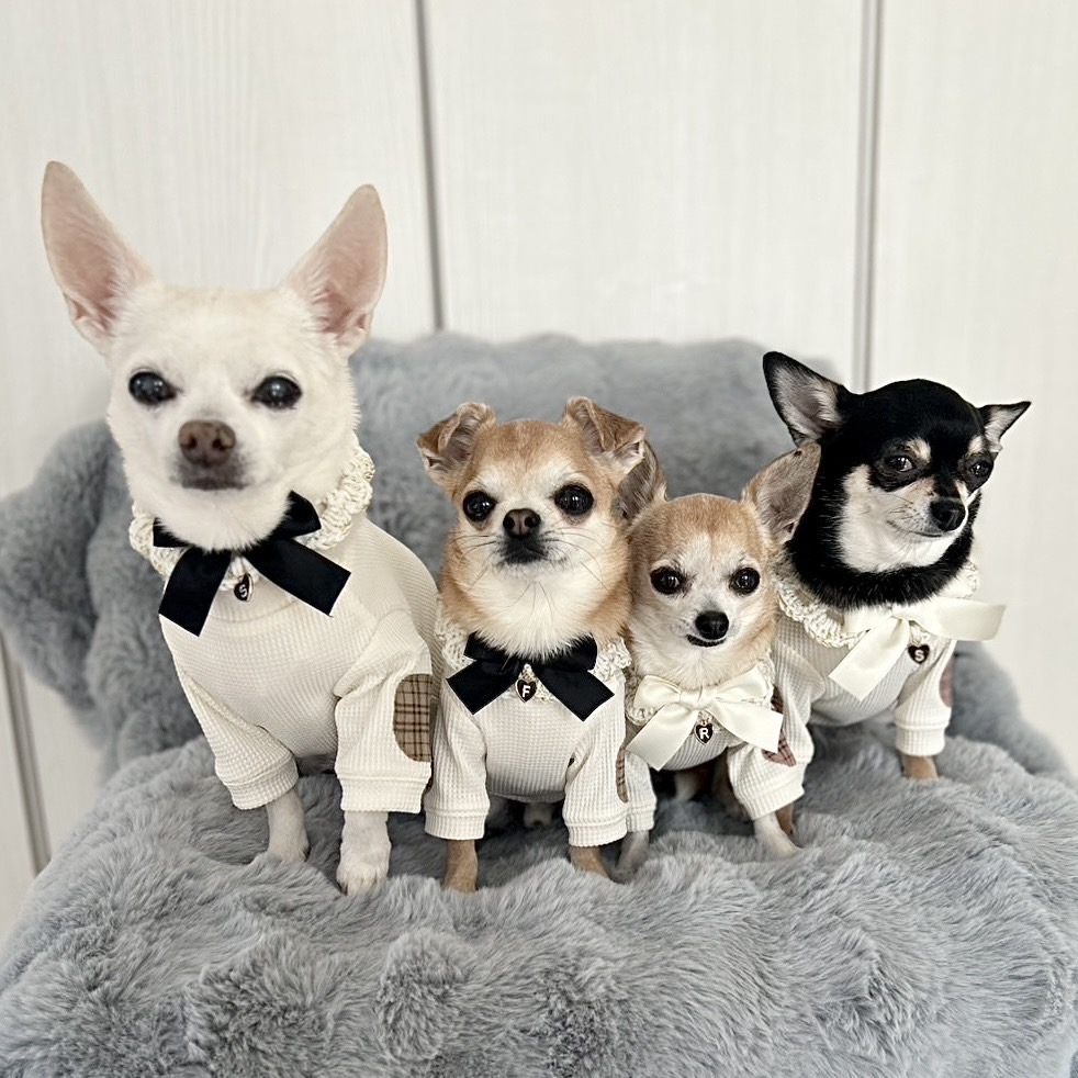 かわいい着画届きました❤
