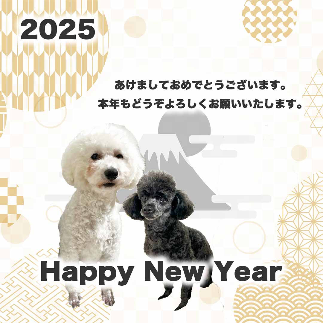2025年も宜しくお願いします。