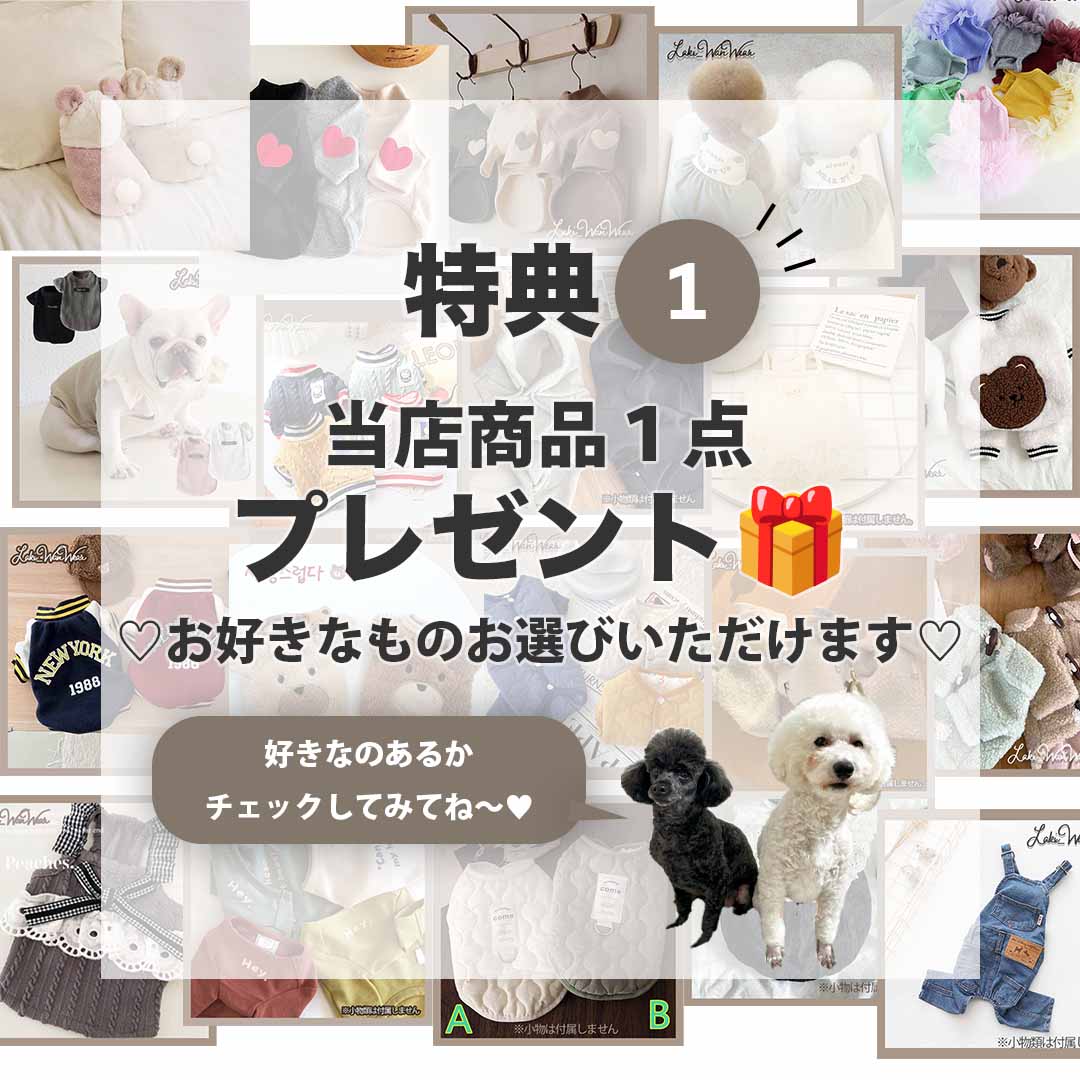 わんバサダー特典先行公開！！