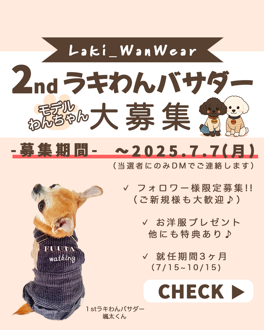 2ndラキわんバサダー大募集‼️