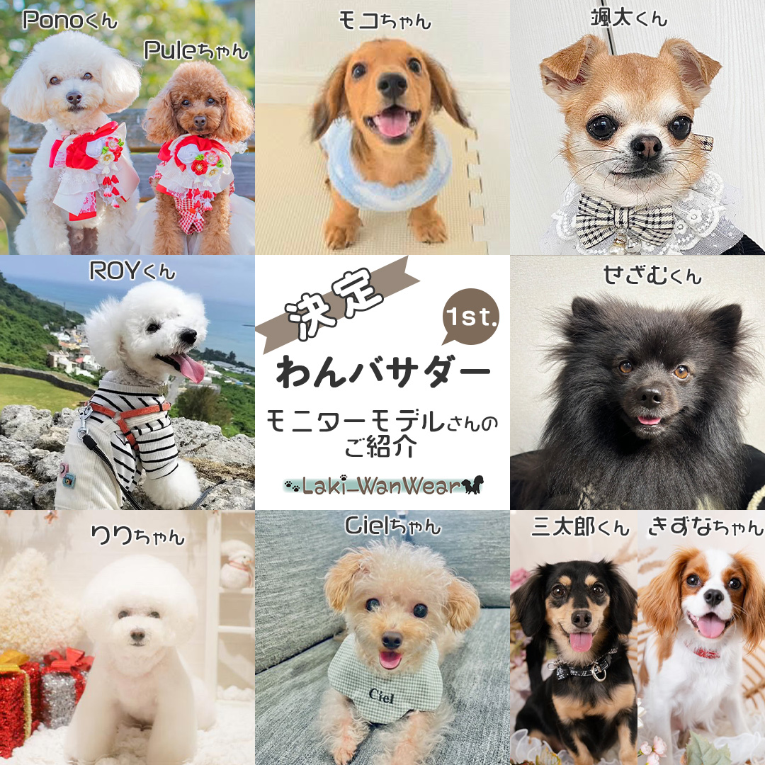 【決定】わんバサダー