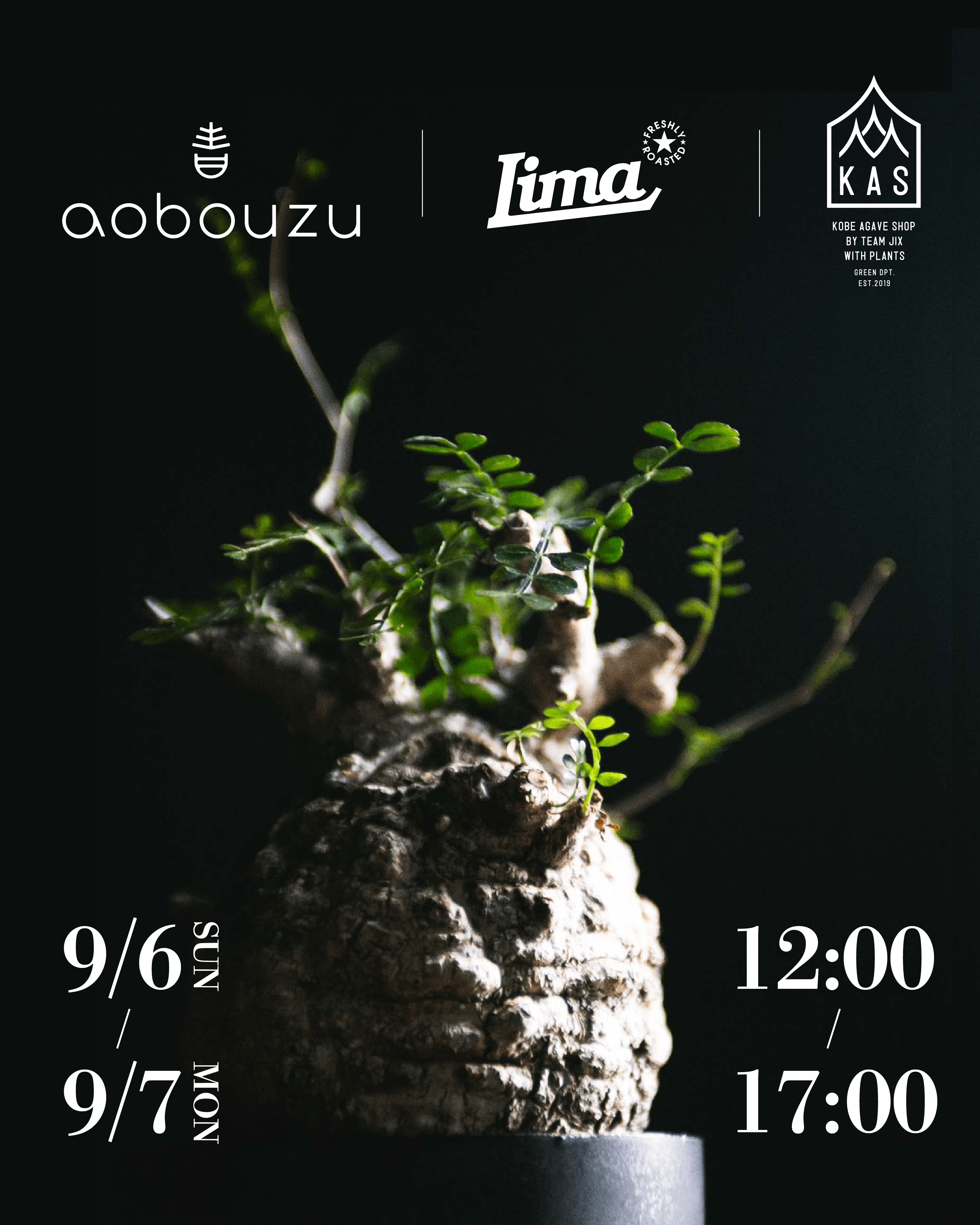 BLOG | 青坊主-aobouzu-