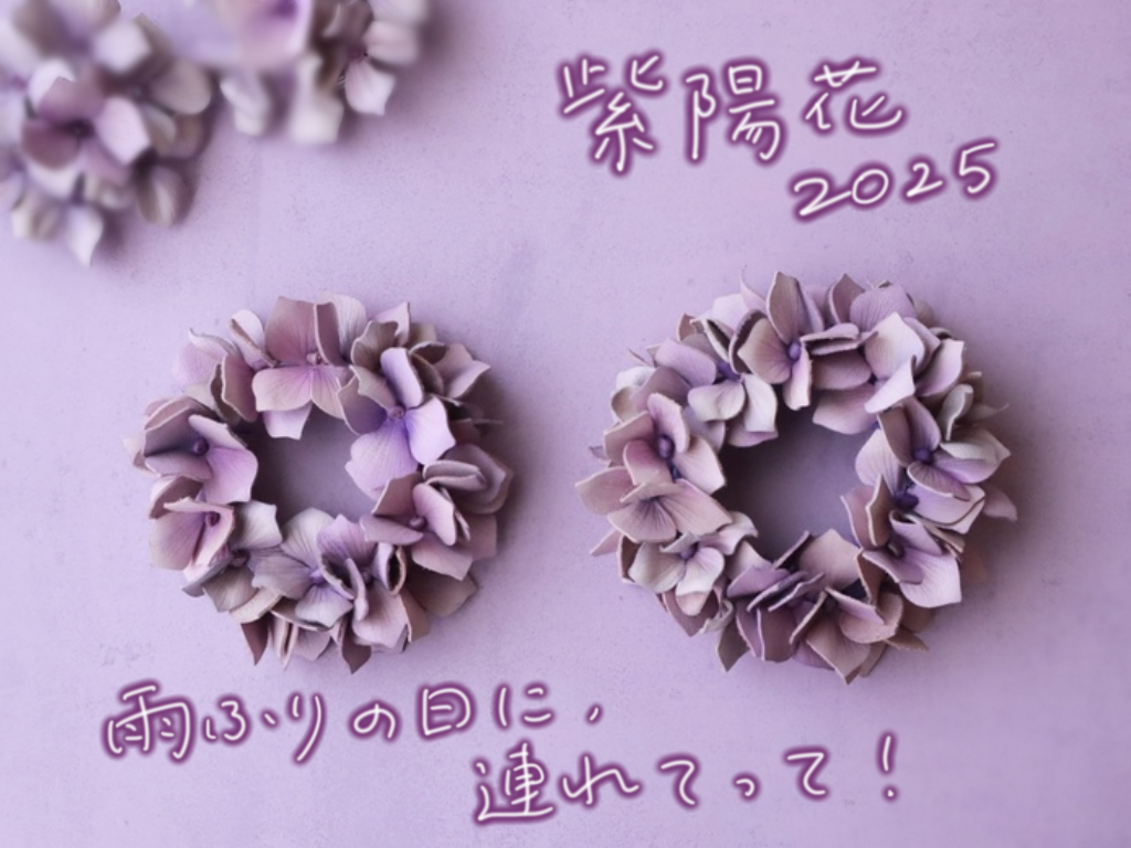 紫陽花2025シリーズ販売開始しました
