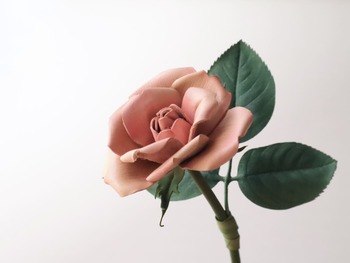 バラの型紙が登場しました