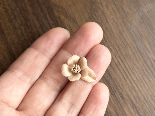 次回作のこと｜何のお花か分かるのはもう少し後になりそうです。
