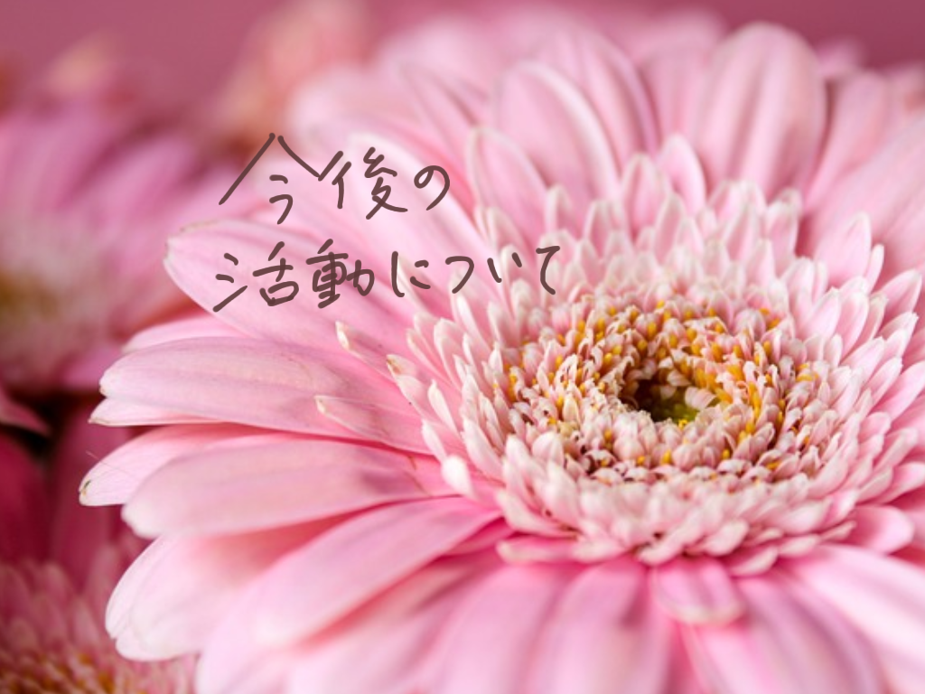 お知らせ｜これからの活動について
