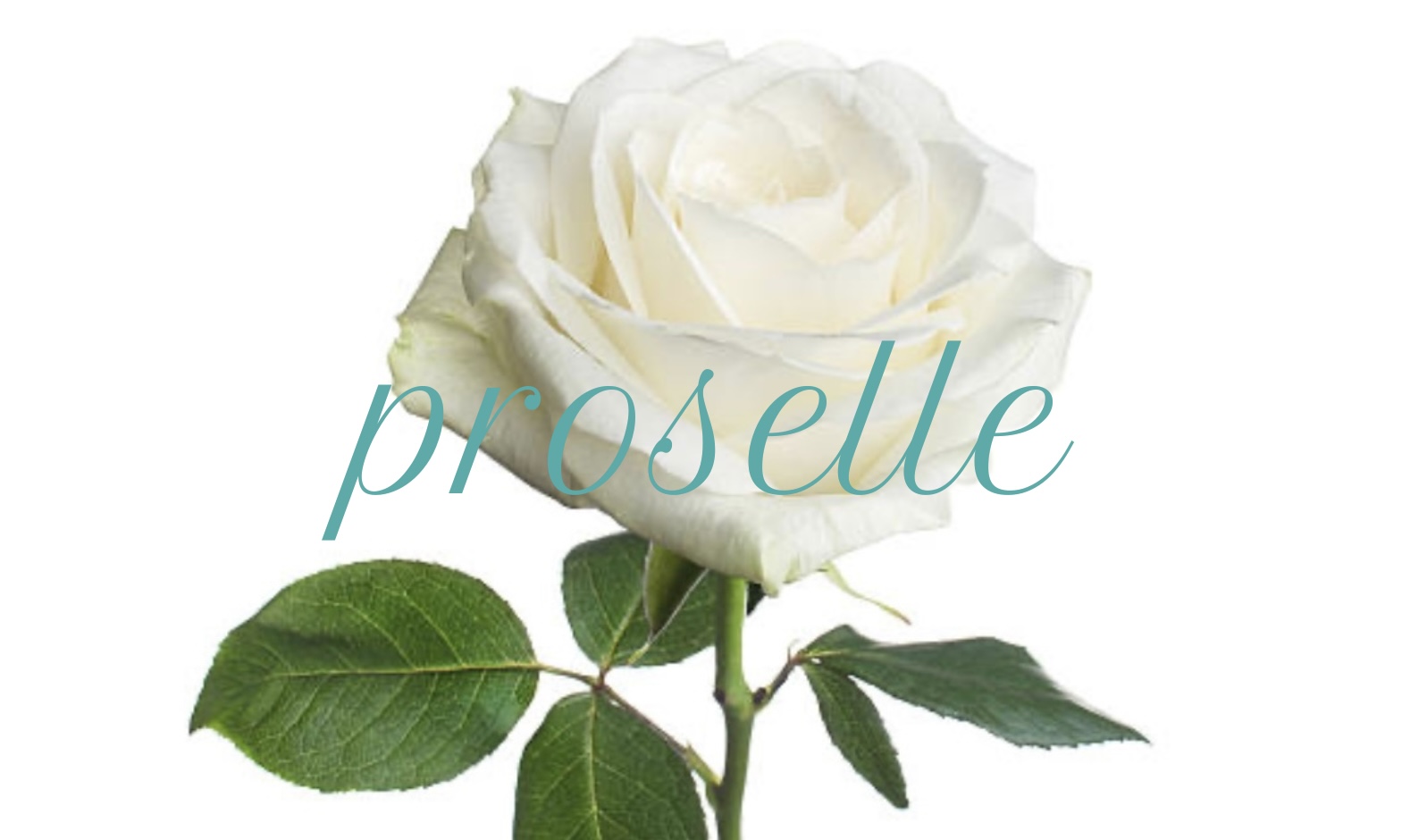 Hello! I'm Proselle!