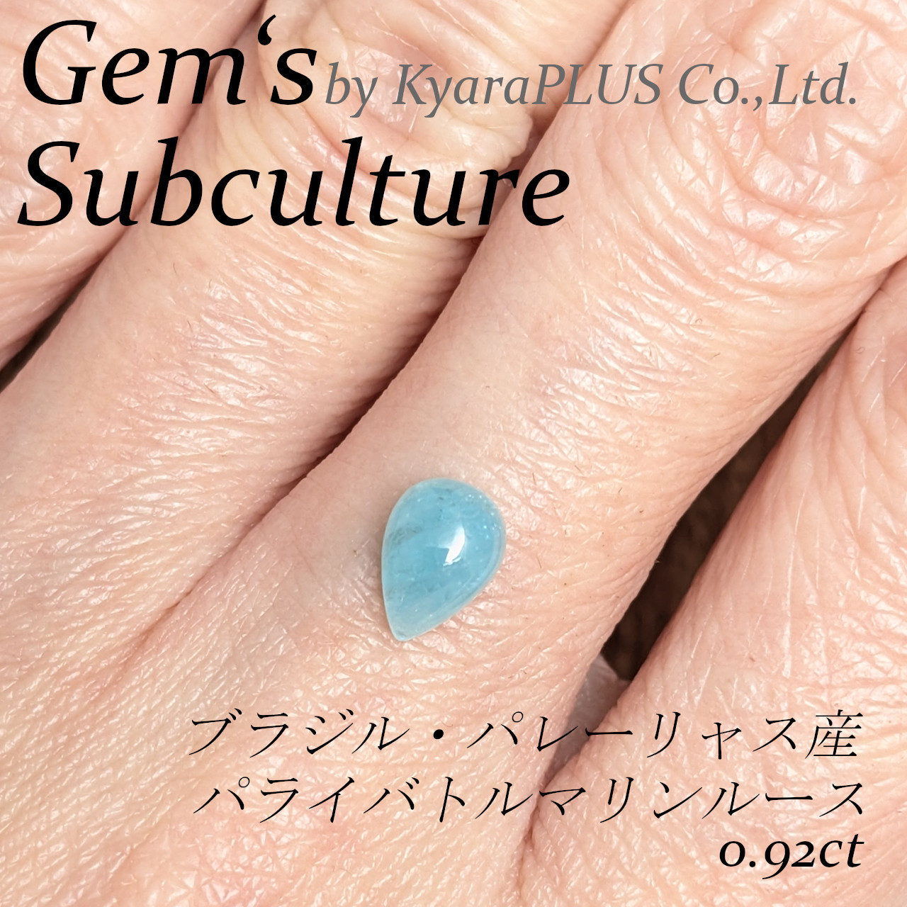 オーロラが輝く南極の空。その吹雪の瞬間をカプセルに閉じ込めたかのよう