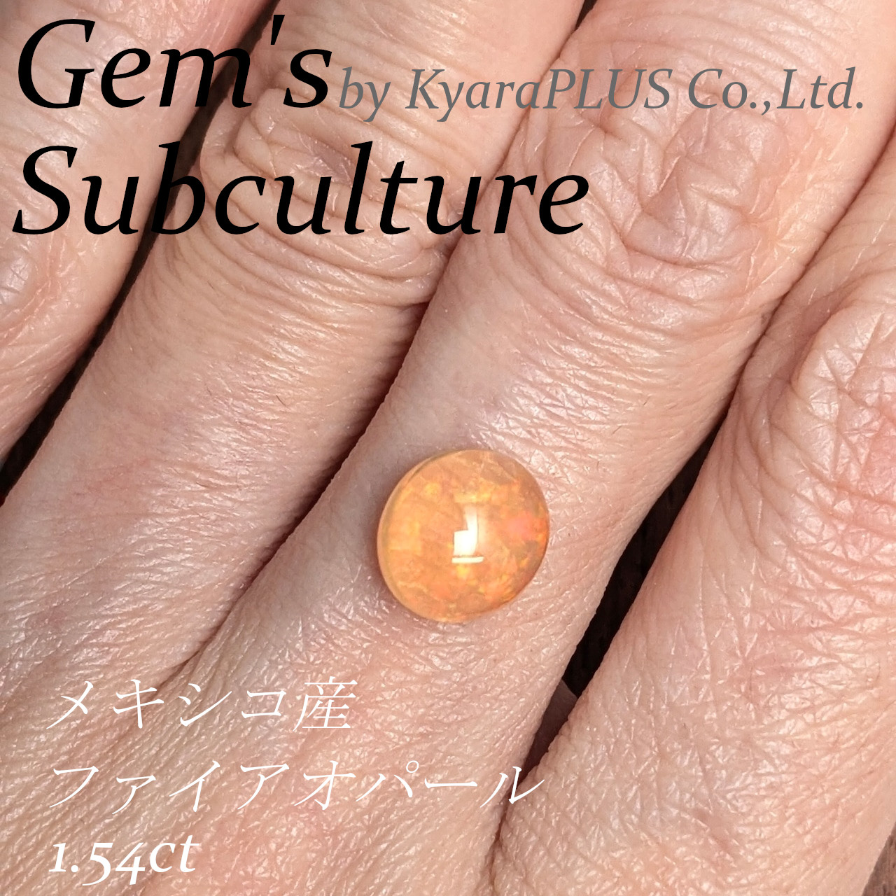 「夕焼けにかかる虹」