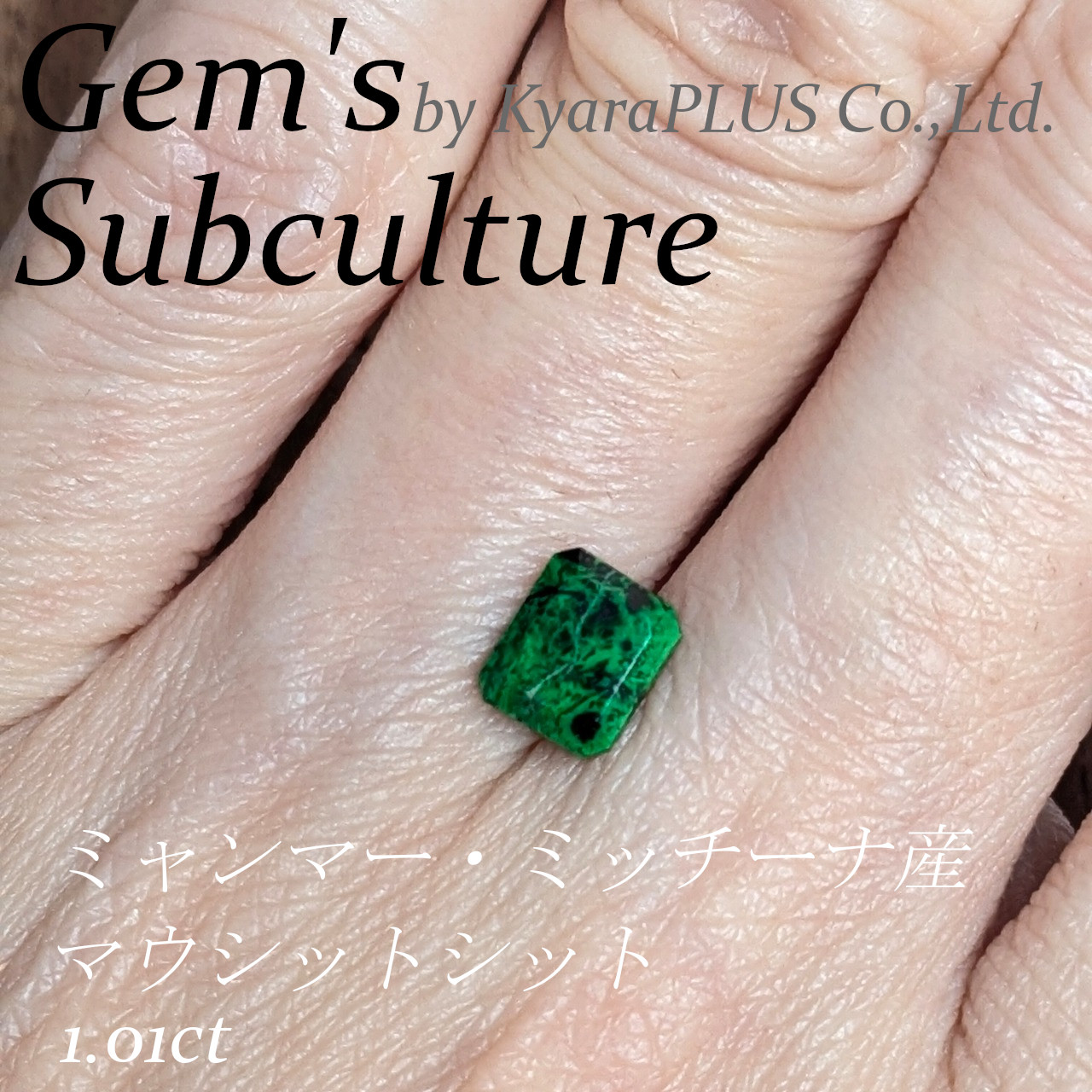 唯一無二の魅力をぜひお楽しみください