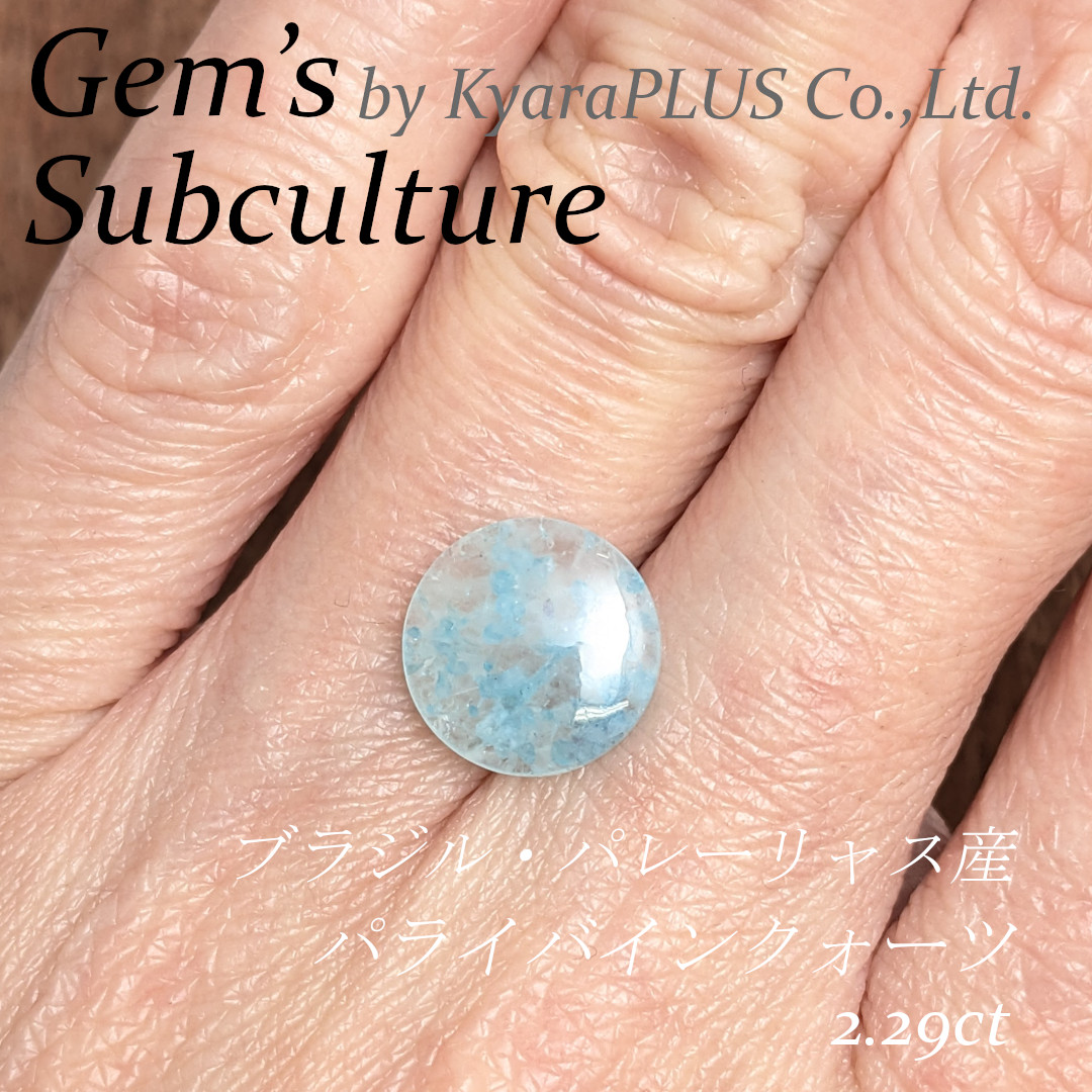 水族館の丸い窓ガラスの向こうで