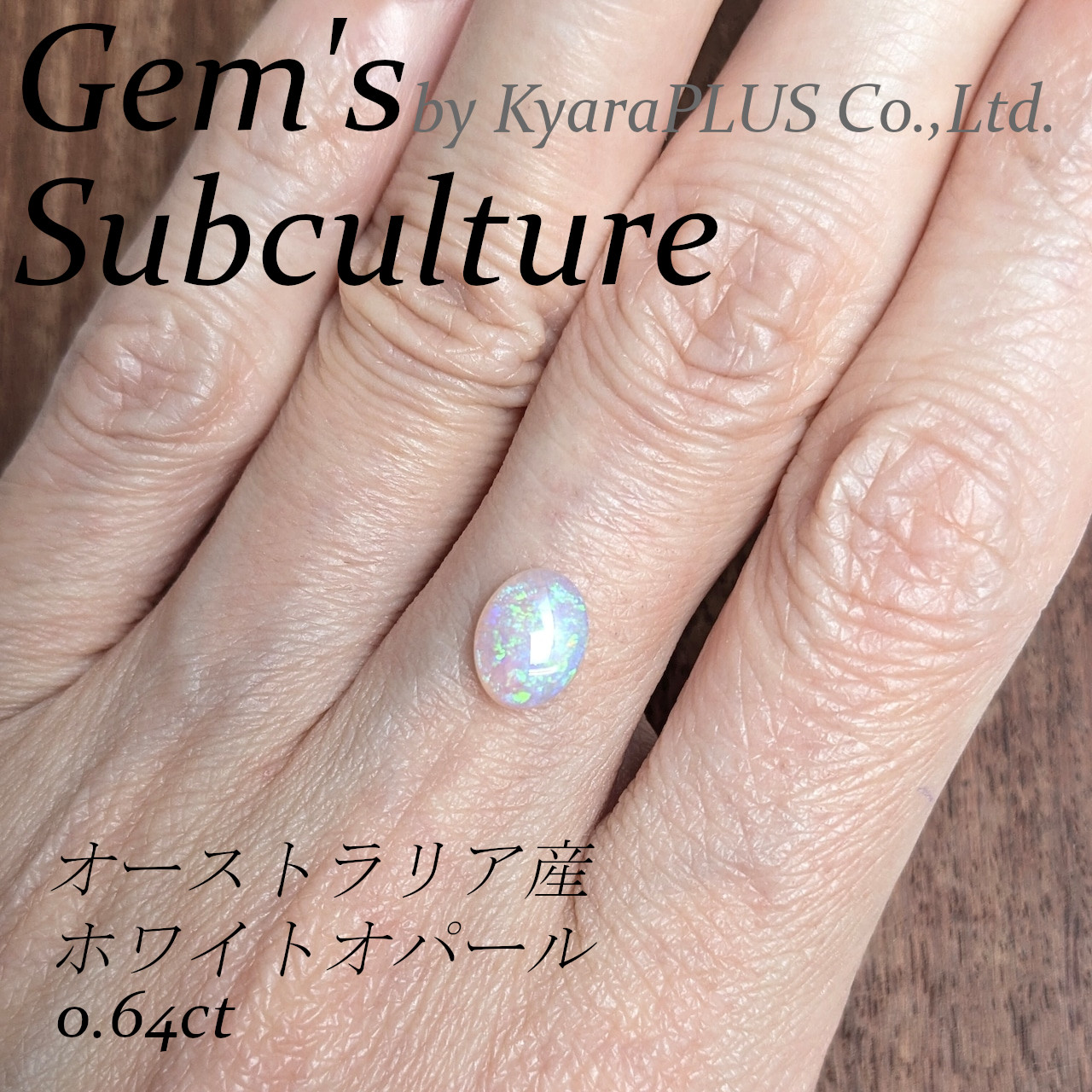 画家「地球」がその時代に描いた、かけがえのないアート