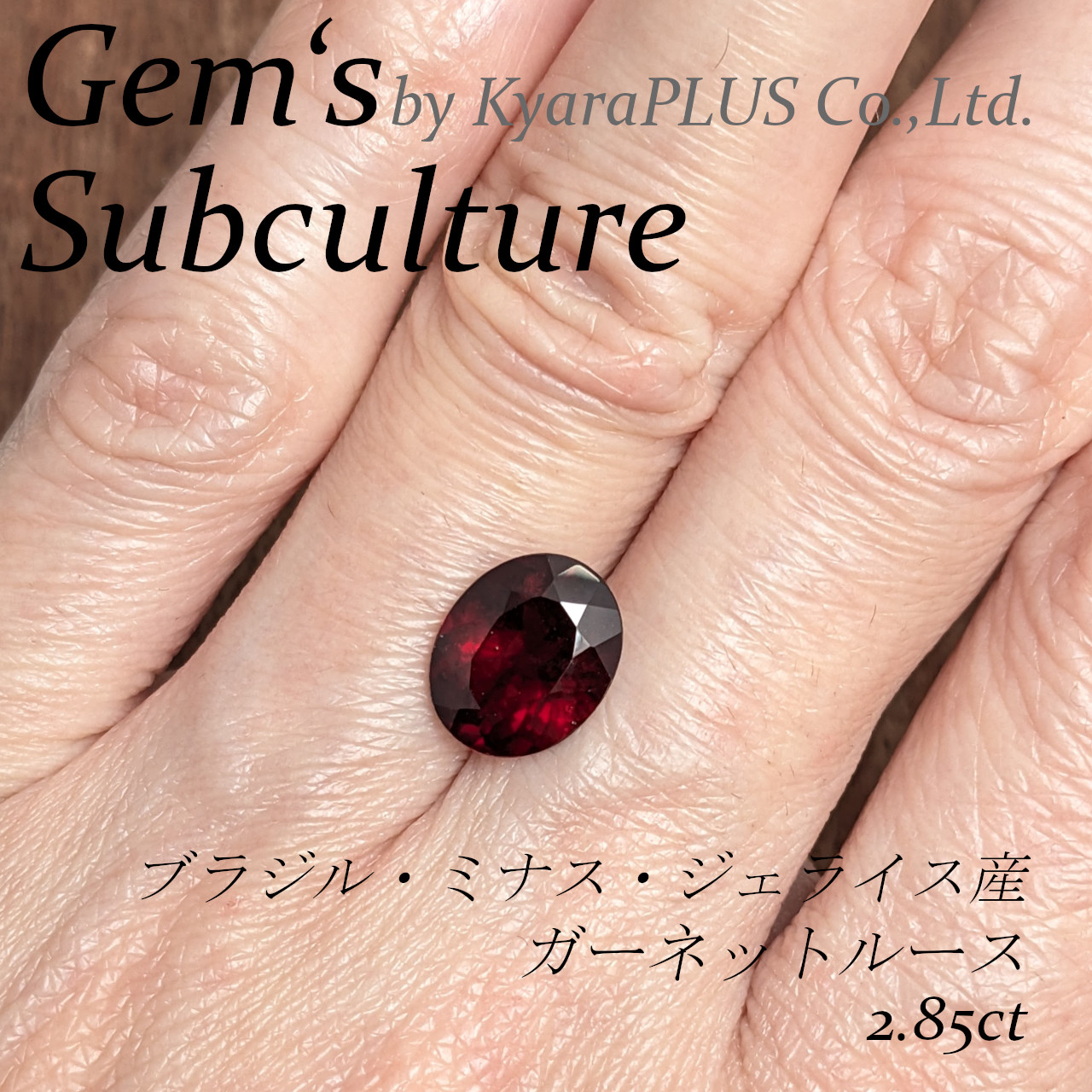 赤色の濃淡が織りなすモザイク模様が非常に美しいのが特徴