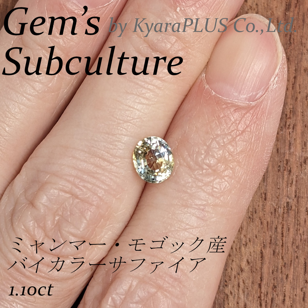 やさしくも印象的なコントラストが目を引く1ピース