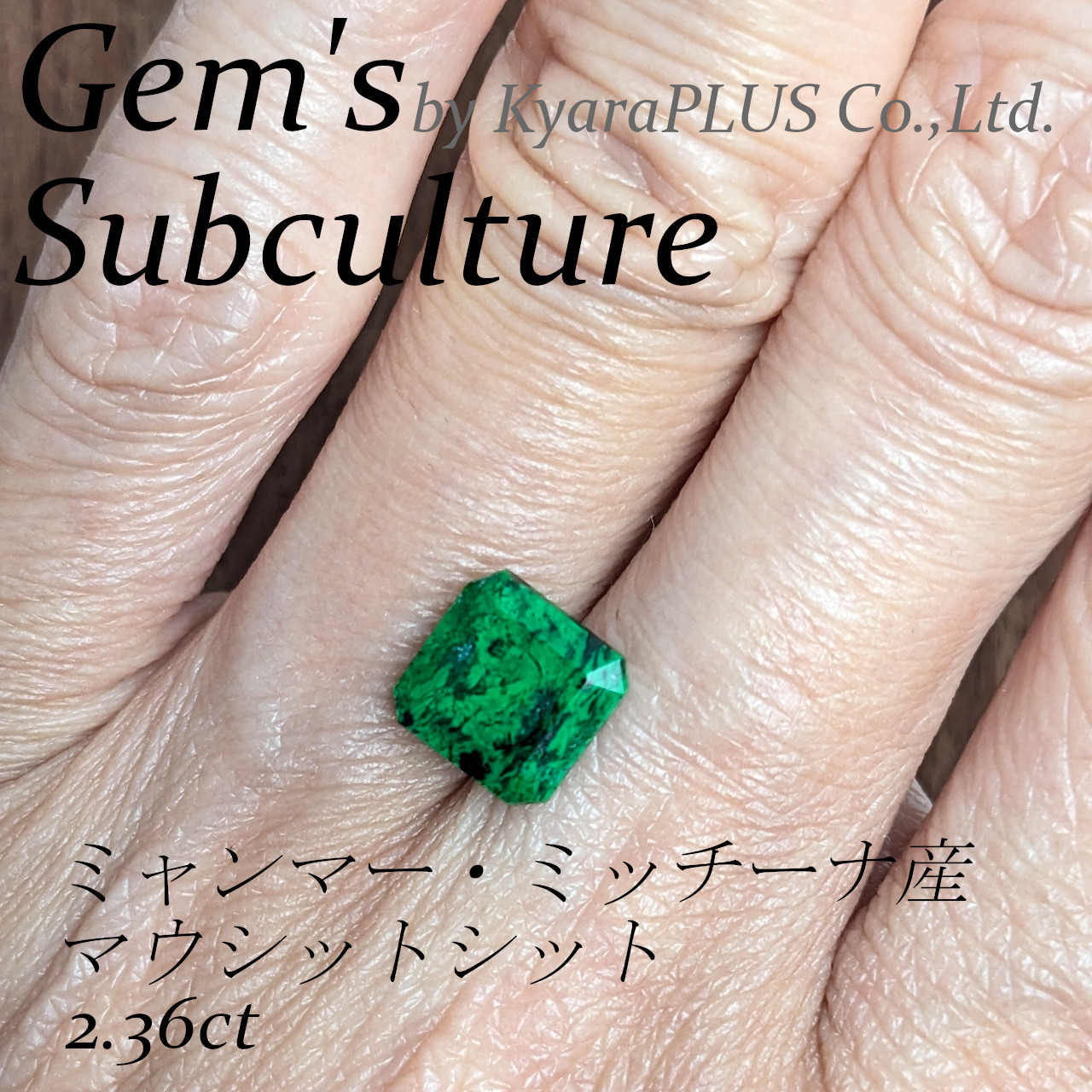 まるで上空から見下ろした森の、木々の隙間に落ちる影のような趣を湛えています