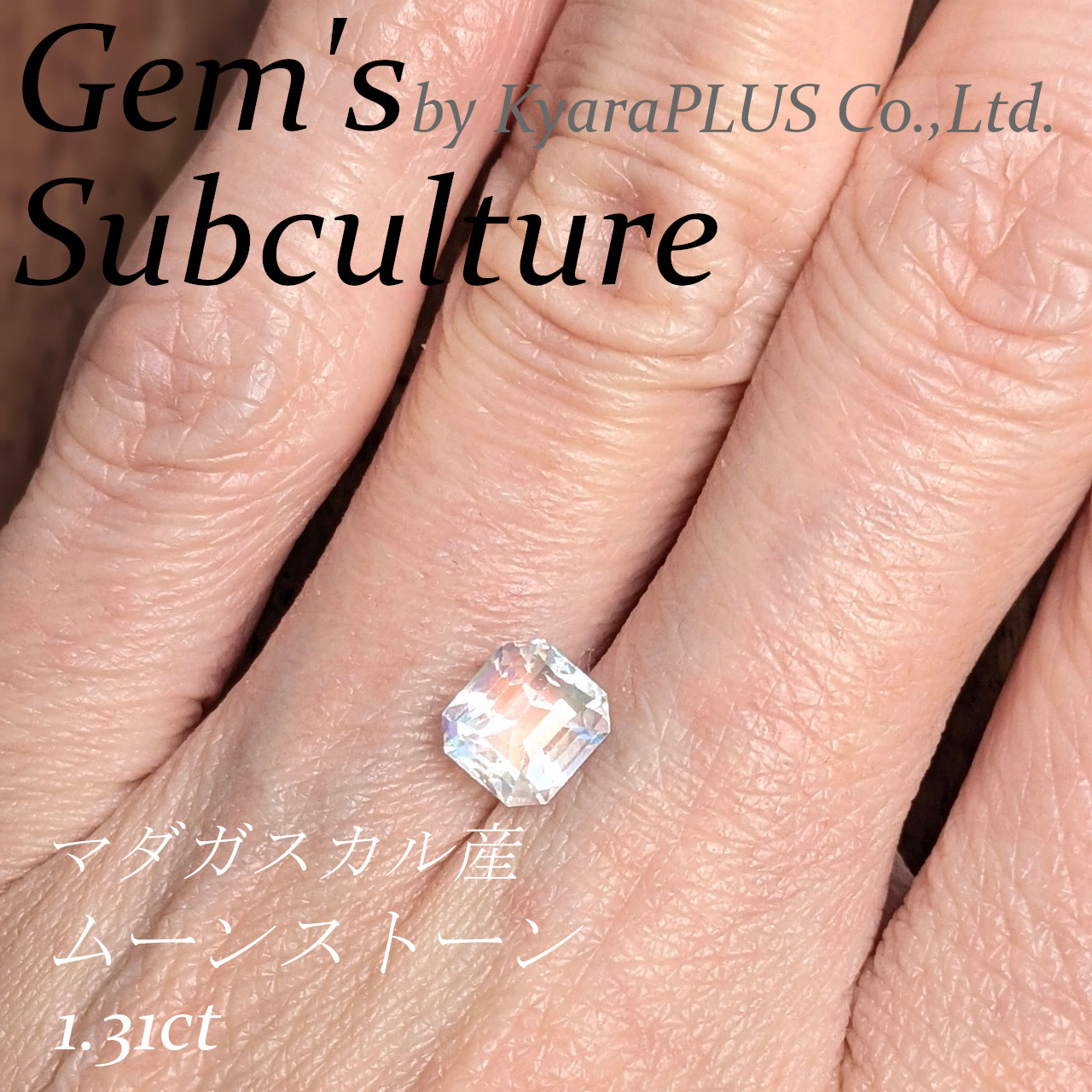 夕立が過ぎ去ったあとの空に、そっと現れる虹の橋