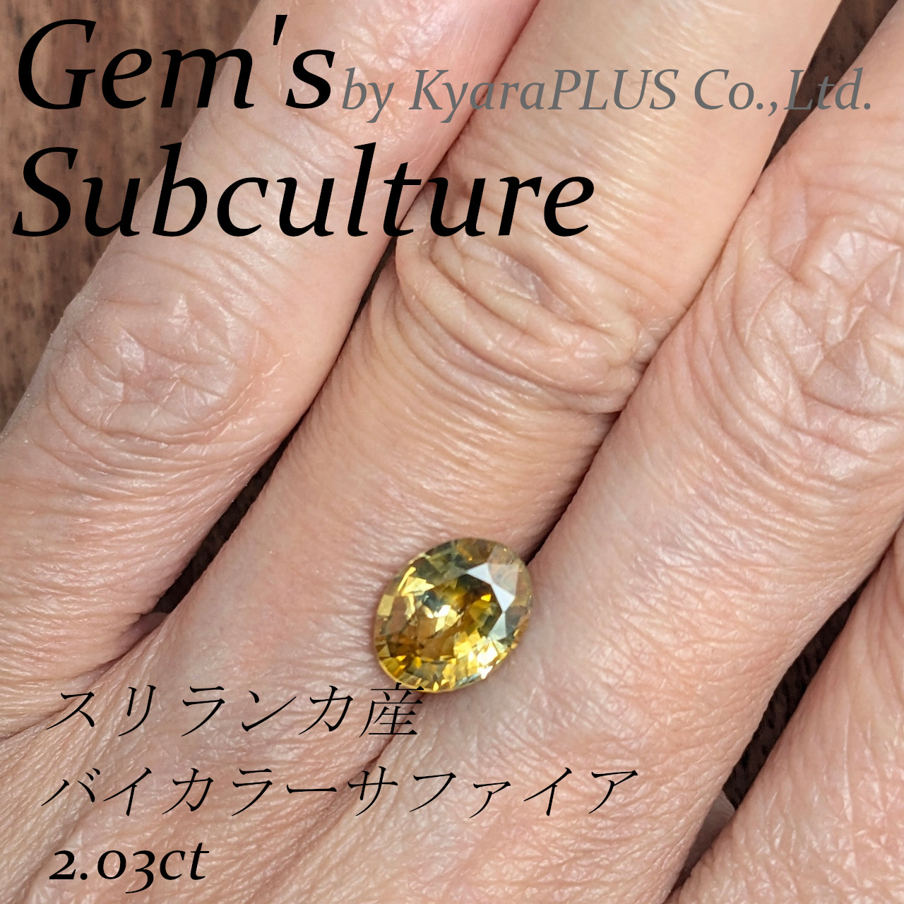 ゴッホ晩年の名作、カラスのいる麦畑 をふと思い起こさせる、印象深い1粒