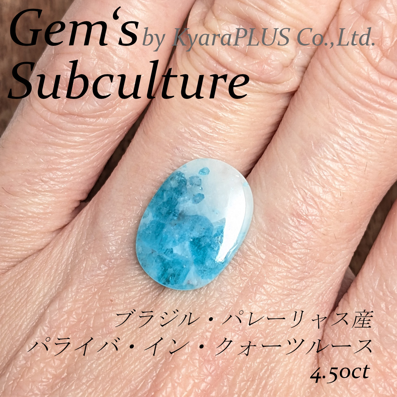 荒れ狂う大洋。白く曇った空を背景に、飛沫をあげる生き生きとした波