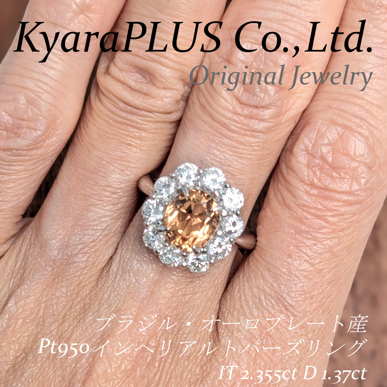 まるで太陽が満面の笑顔で花開いたかのように、おおらかで華やかな美しさを放つ一品