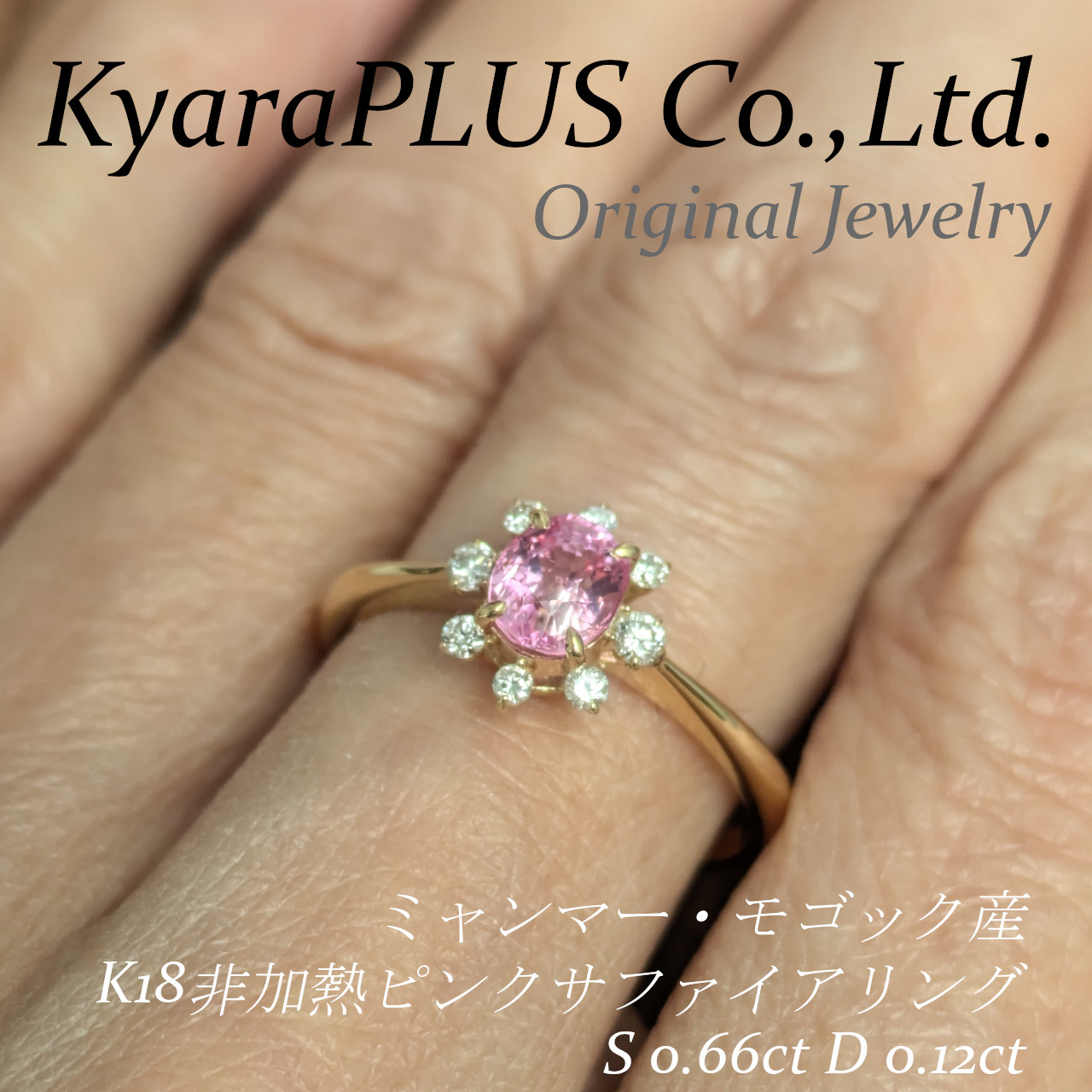 夏の夜空に「ニパッ」と咲く大輪の花火を思わせる、花開いたデザイン