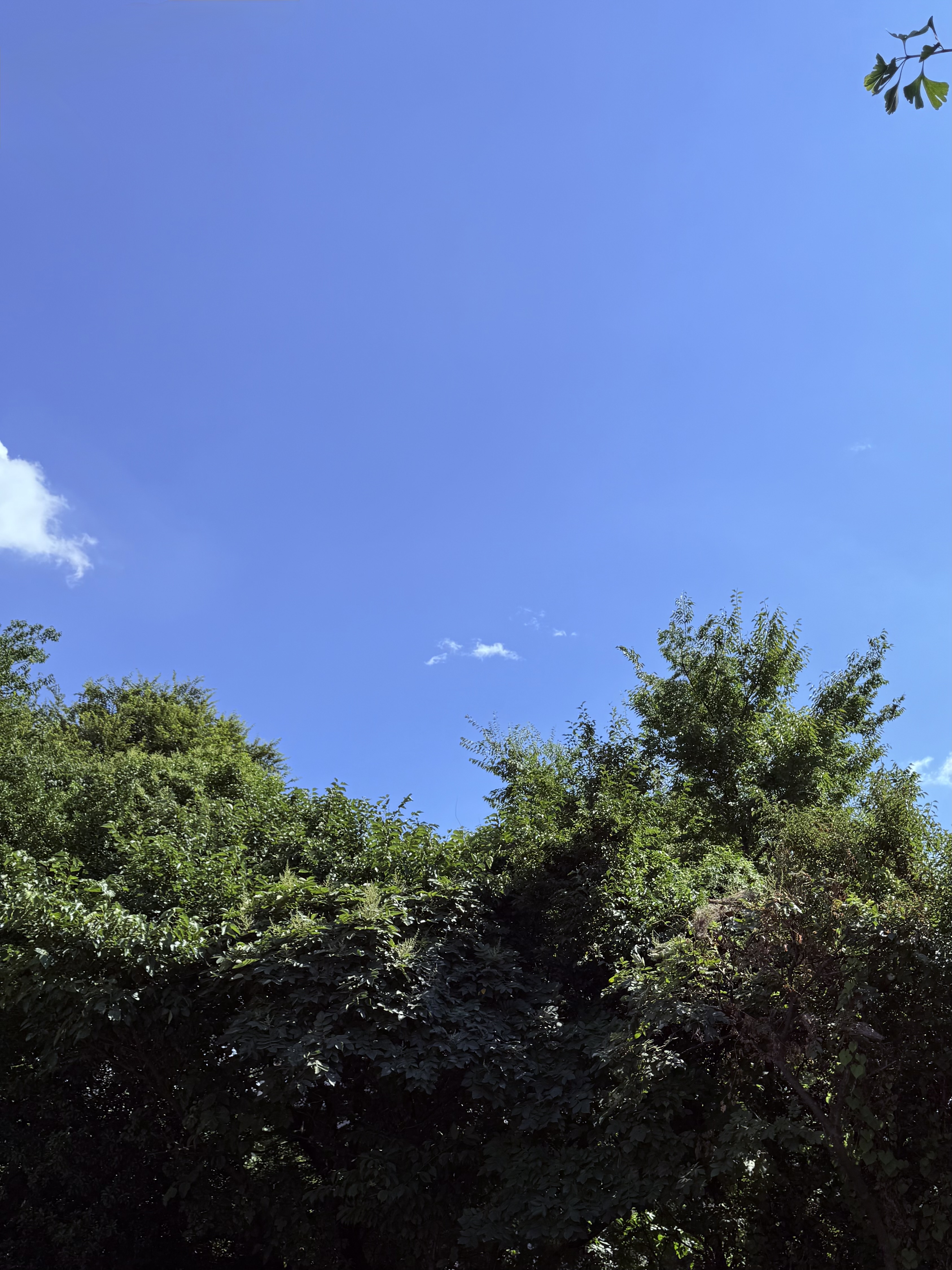 残暑お見舞い申し上げます